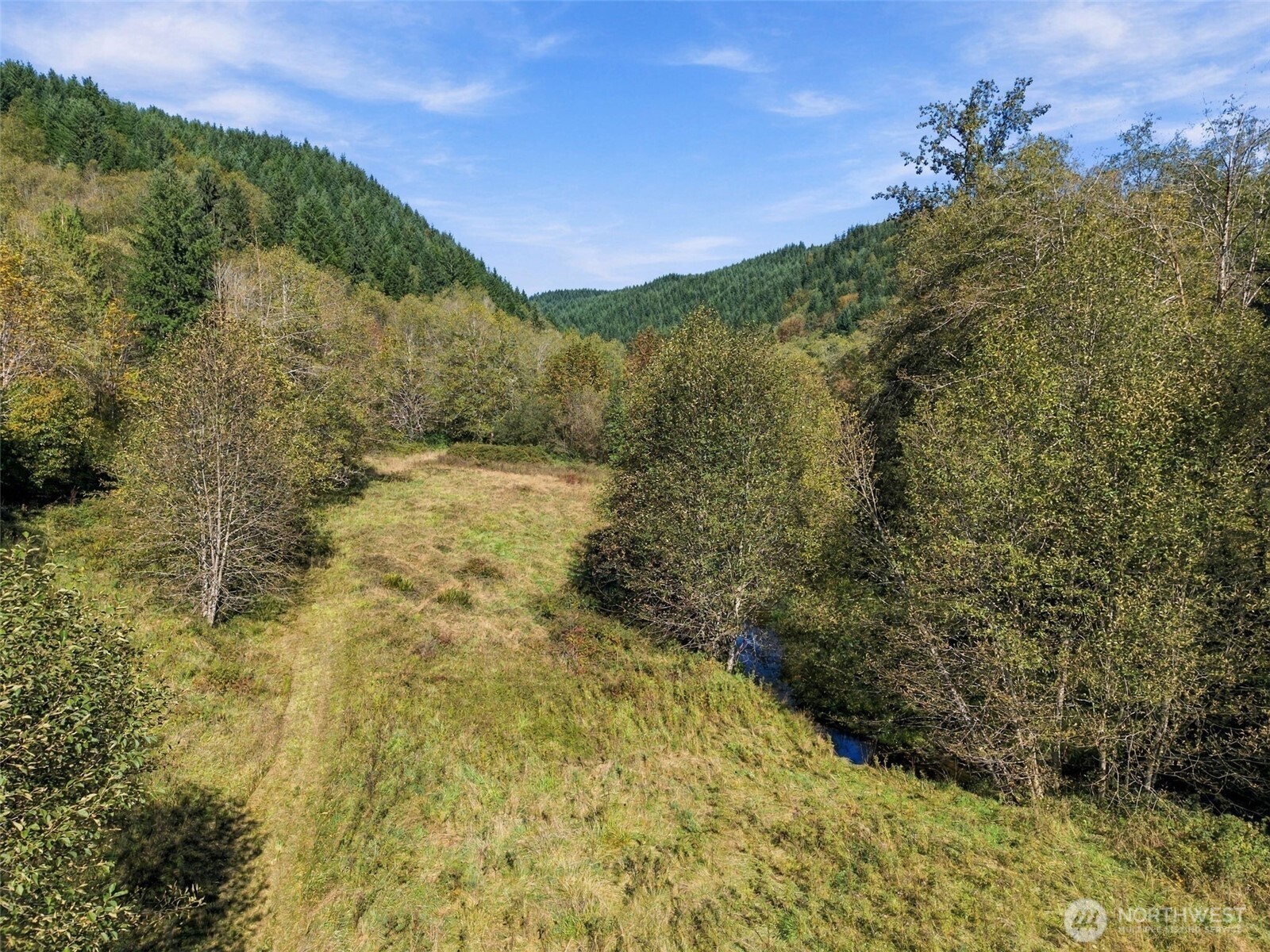 555 Pigeon Springs Road Property Photo 15