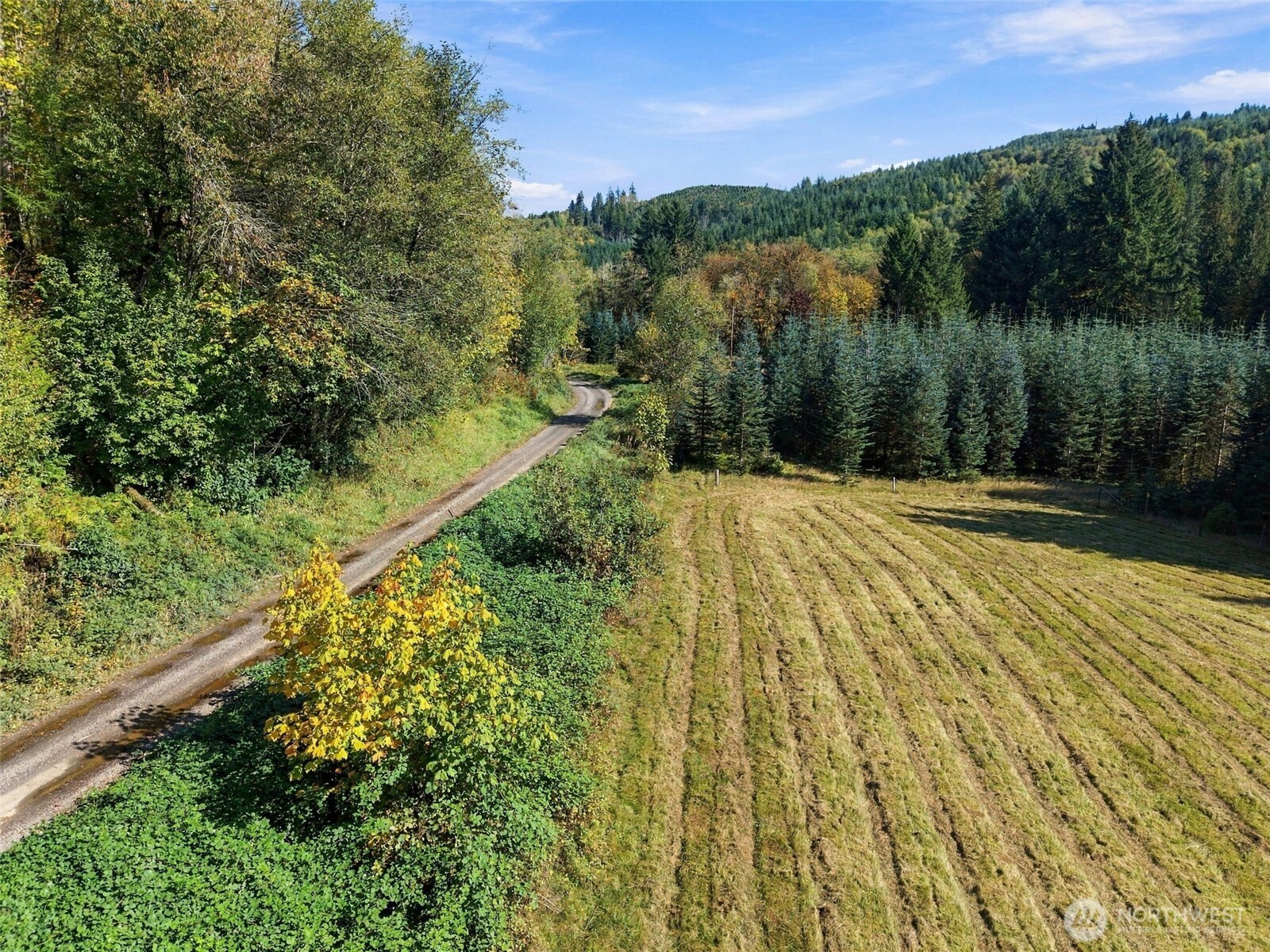 555 Pigeon Springs Road Property Photo 17