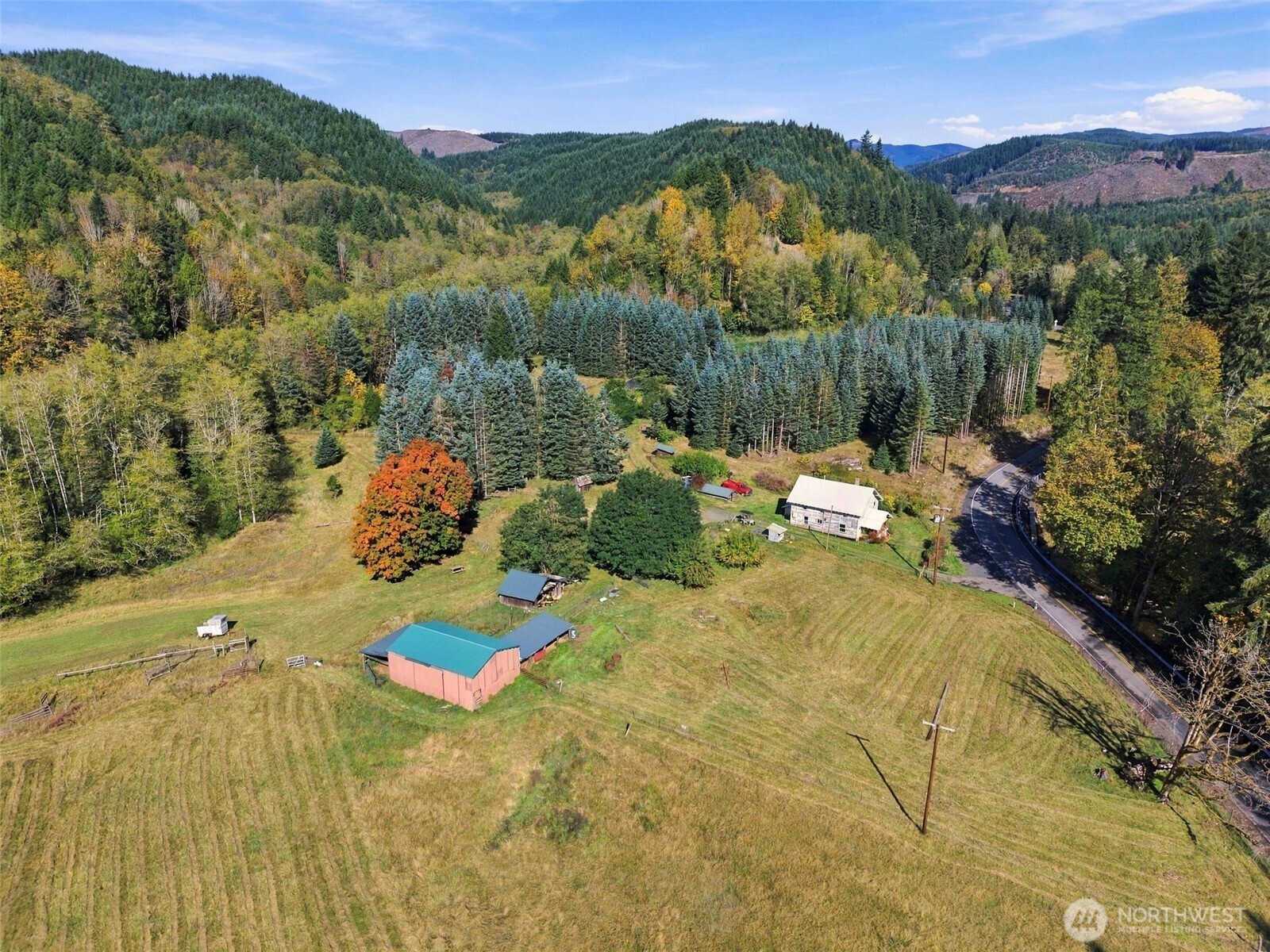555 Pigeon Springs Road Property Photo 21