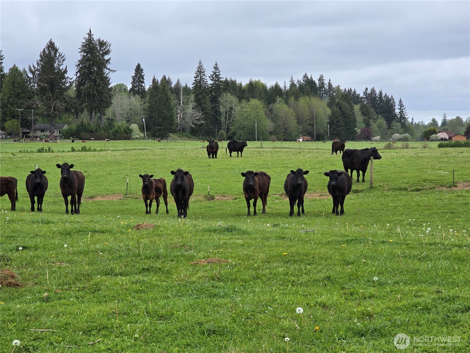 912 Middle Satsop Road Property Photo 12