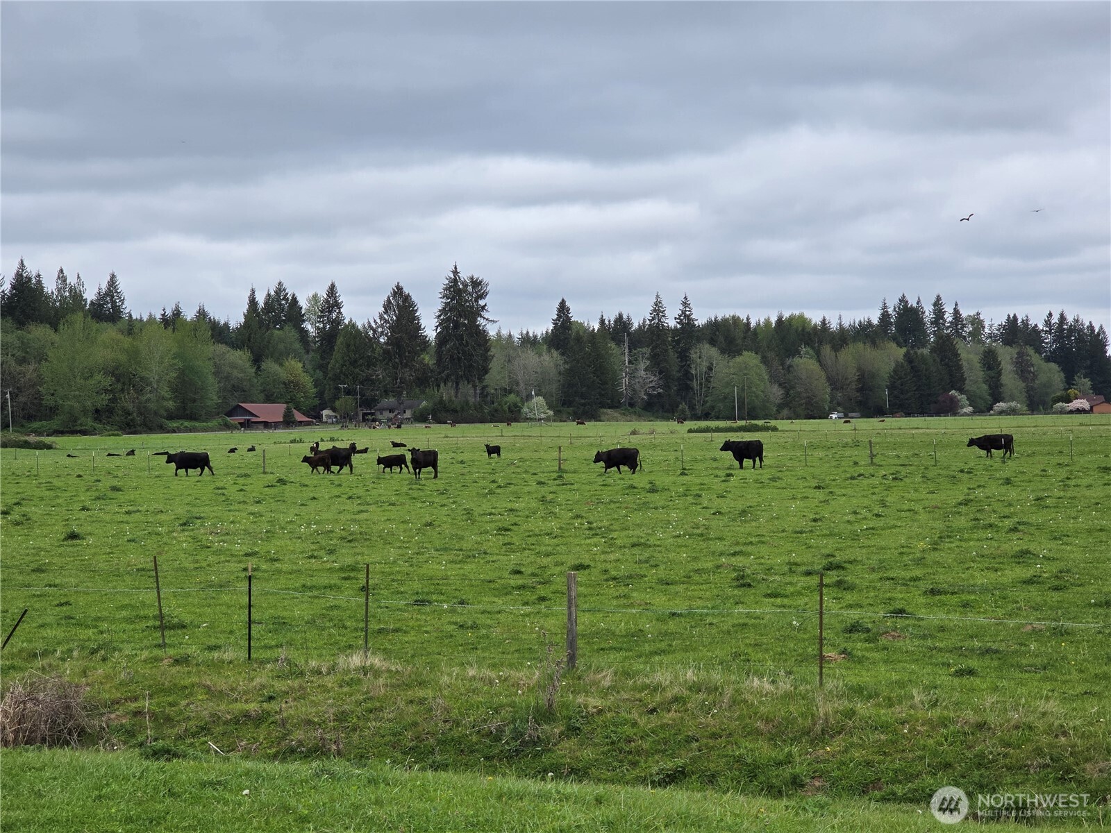 912 Middle Satsop Road Property Photo 13