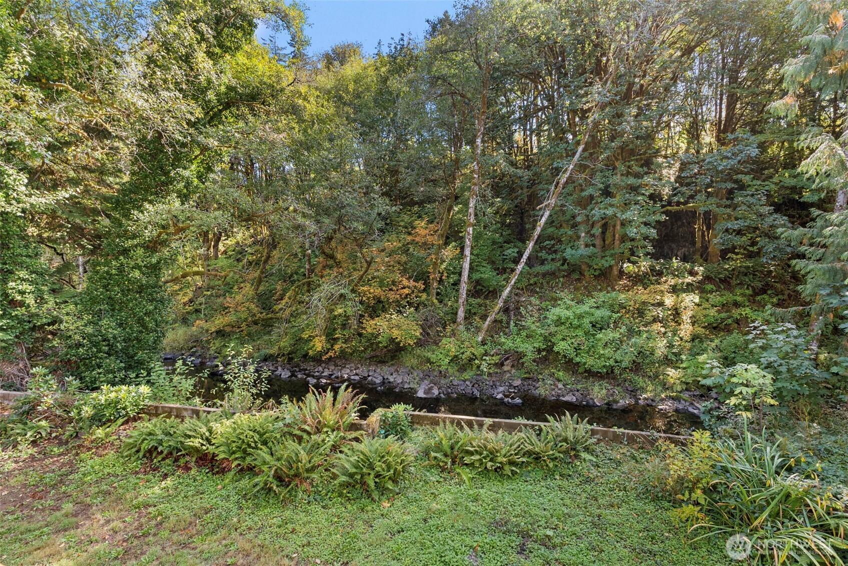 451 Elk Creek Road Property Photo 26