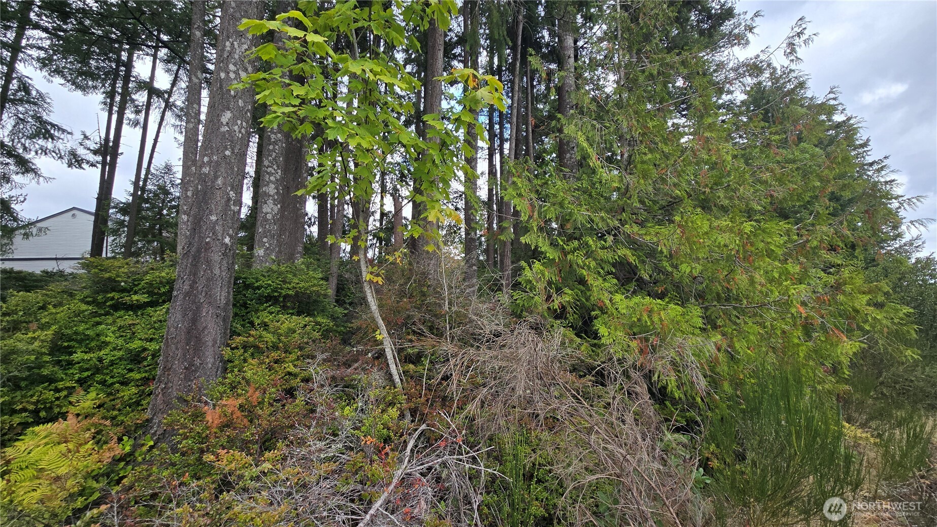 1 Xxx Front Avenue Property Photo 18