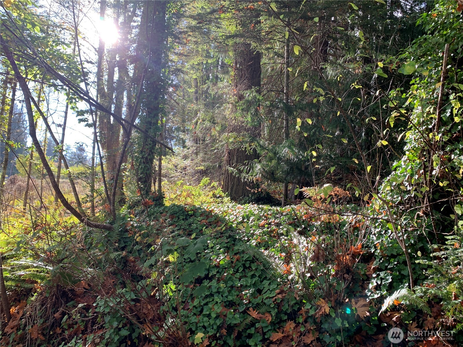 5 E State Route 106 Property Photo 3