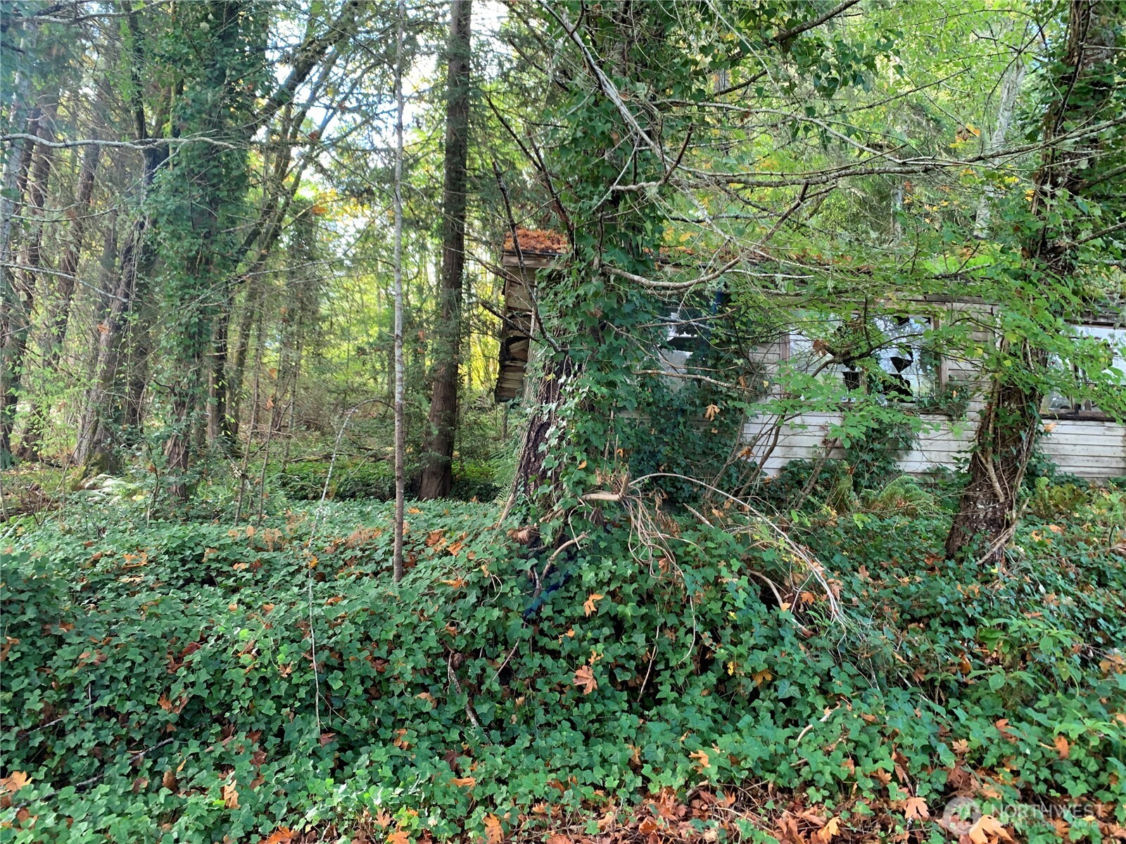 5 E State Route 106 Property Photo 5