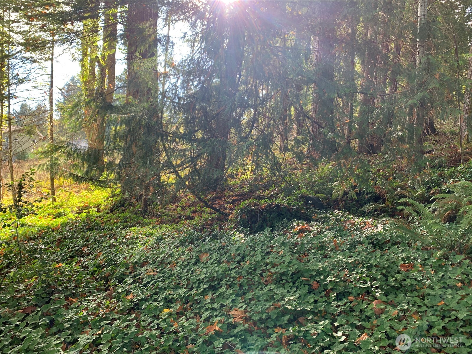 5 E State Route 106 Property Photo 6