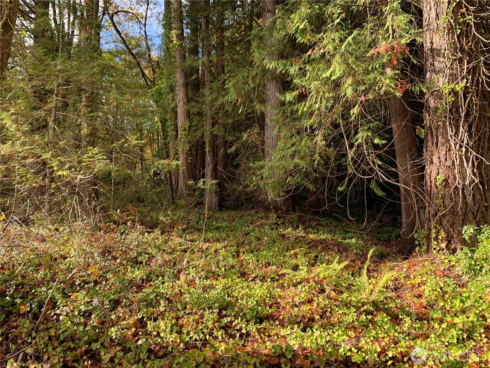 5 E State Route 106 Property Photo 7