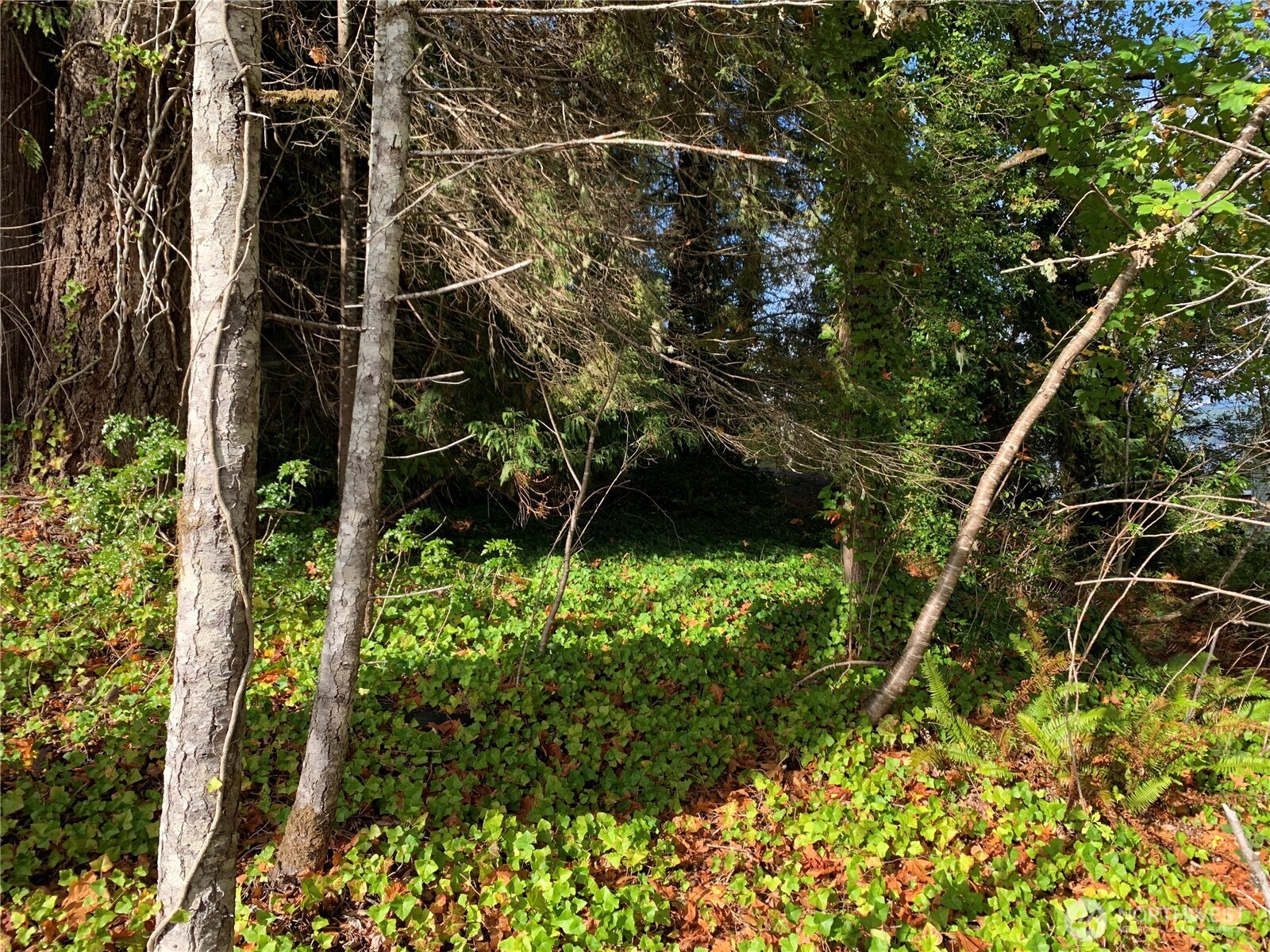 5 E State Route 106 Property Photo 8