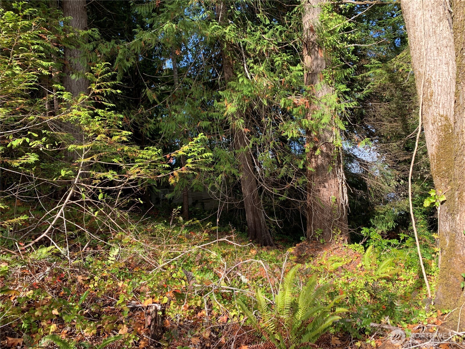 5 E State Route 106 Property Photo 9