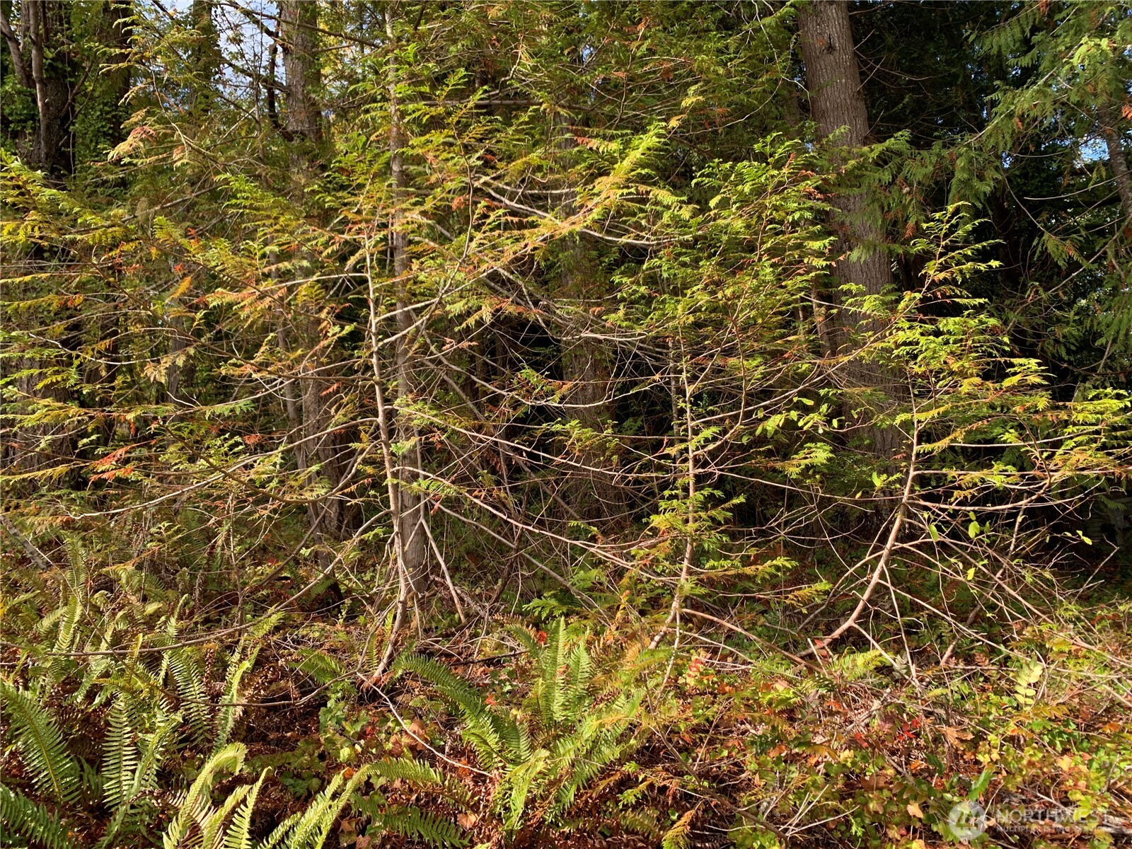 5 E State Route 106 Property Photo 10