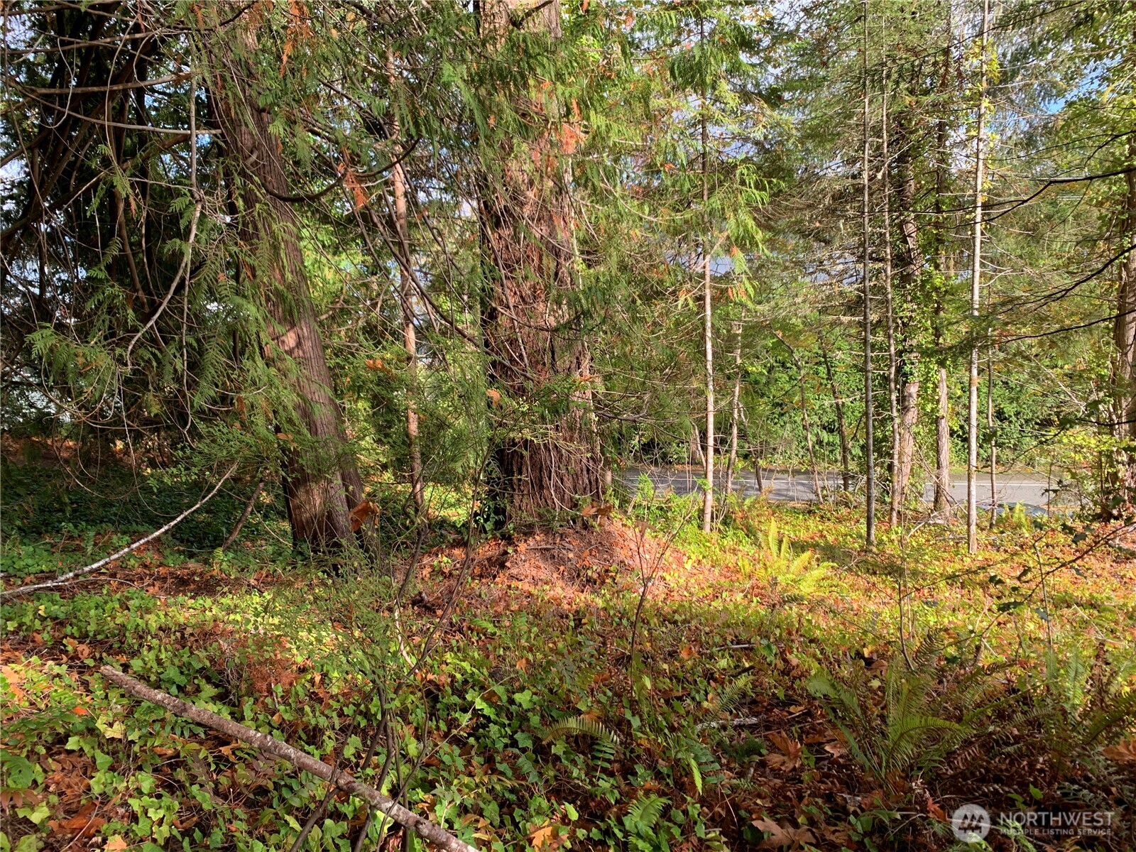 5 E State Route 106 Property Photo 11