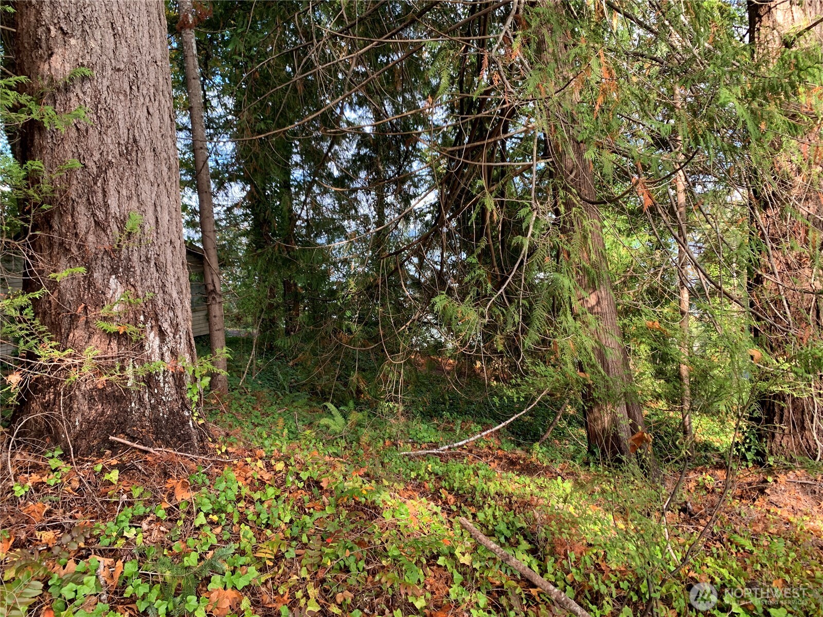 5 E State Route 106 Property Photo 12