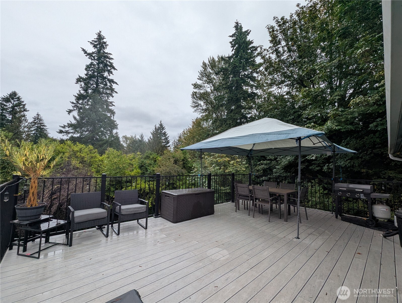 15654 Se 224th Street Property Photo 4