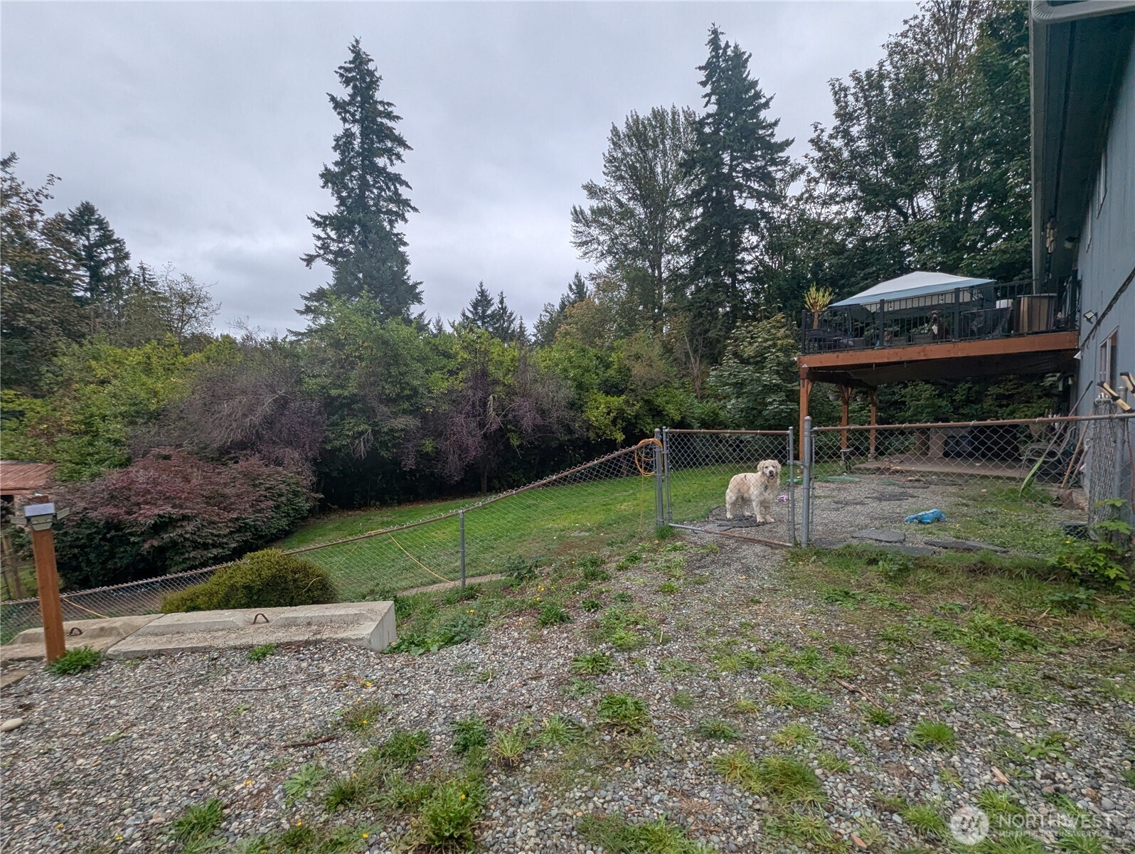 15654 Se 224th Street Property Photo 23