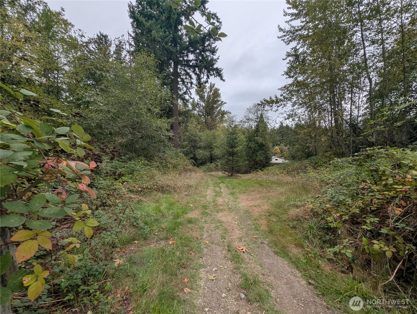 15654 Se 224th Street Property Photo 29