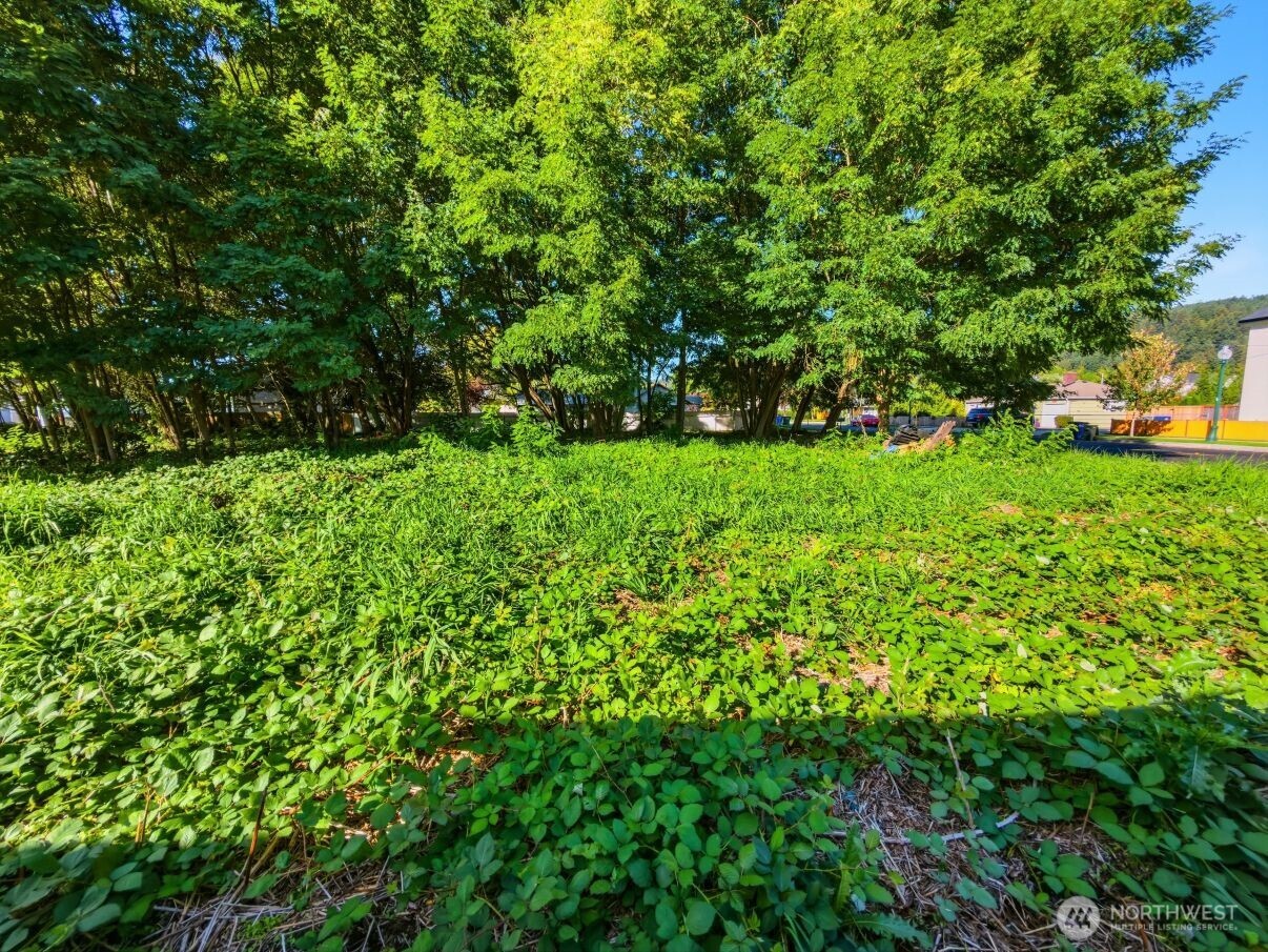 5706 Parker Road Property Photo 7