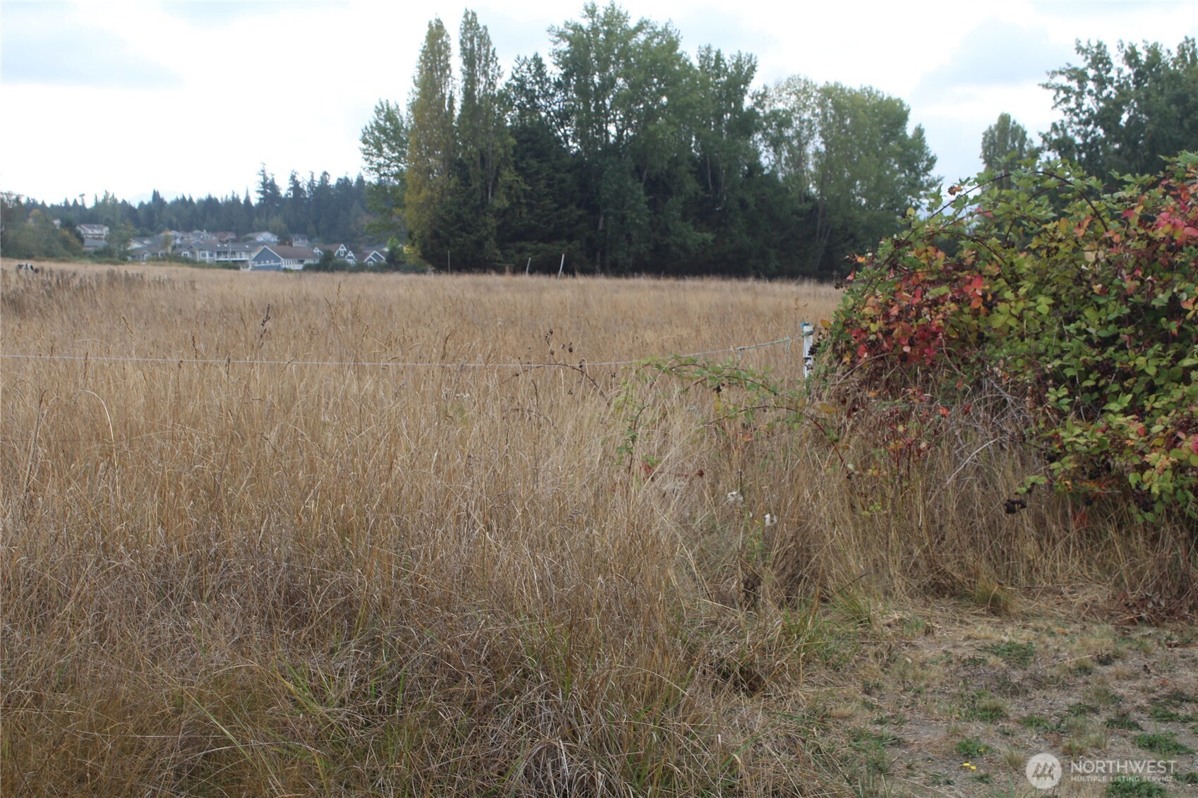0 E Brownfield Road Property Photo 9