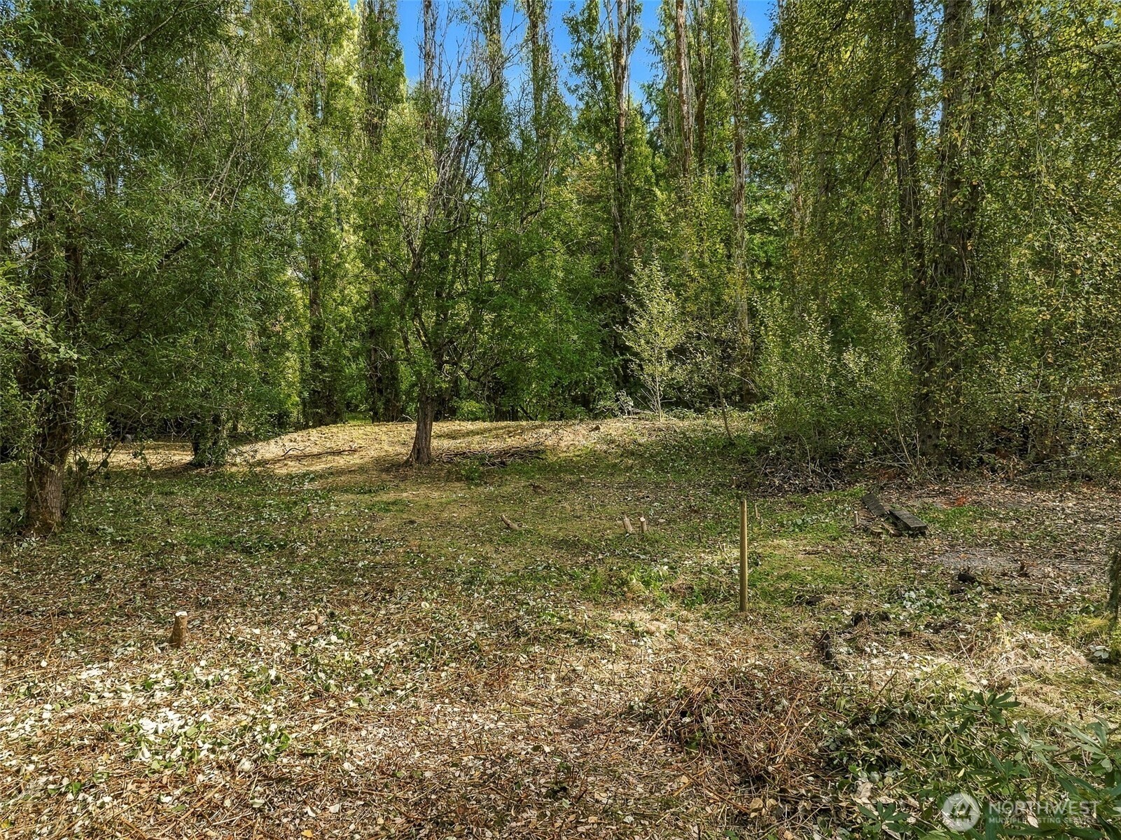 19920 80th Avenue Property Photo 2