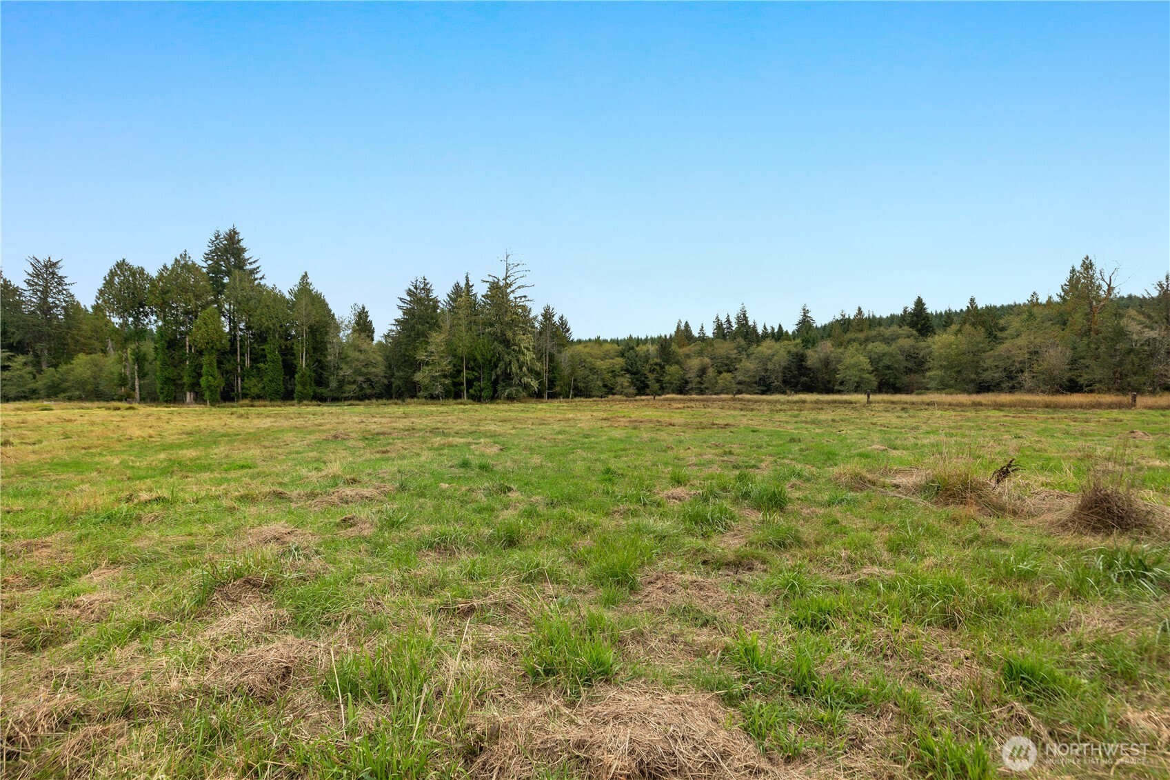 118 Powers Creek Road Property Photo 13