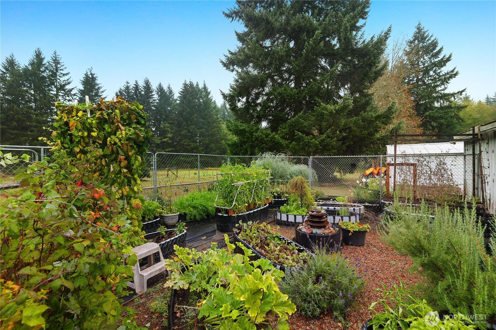 13330 Reeder Road Property Photo 30