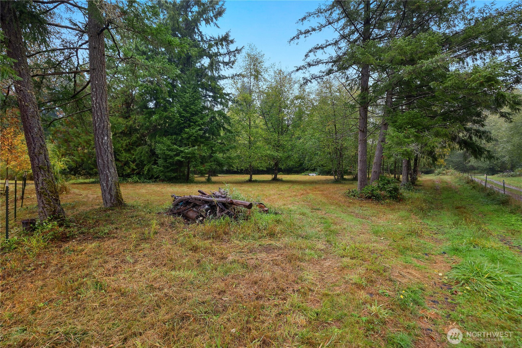 13330 Reeder Road Property Photo 38