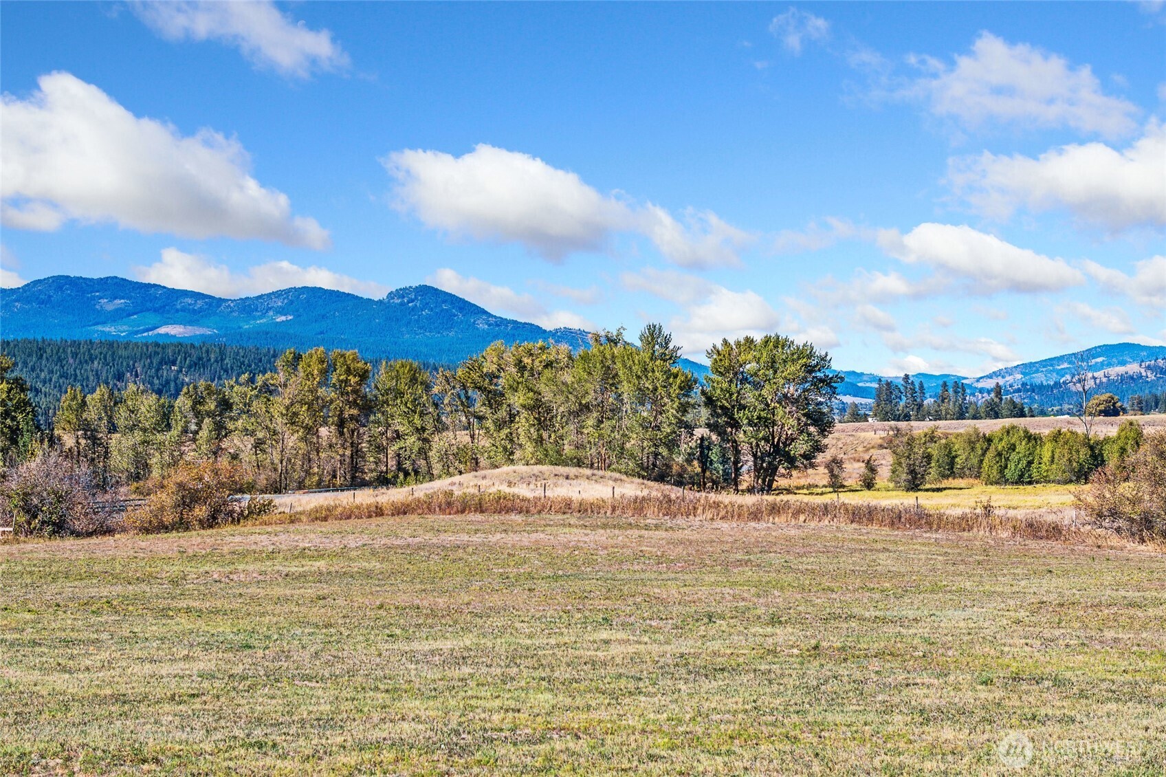 1028 Old Highway 12 Mile Road Property Photo 34