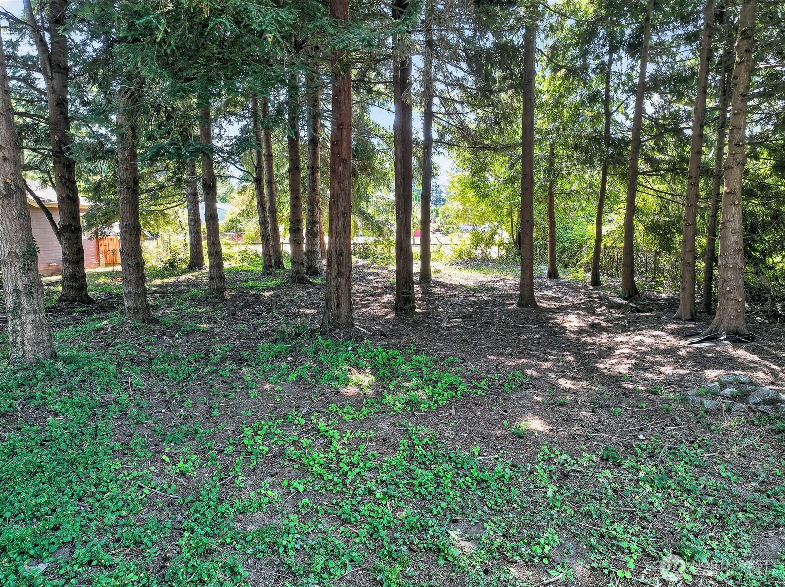 3015 Birchwood Avenue Property Photo 25