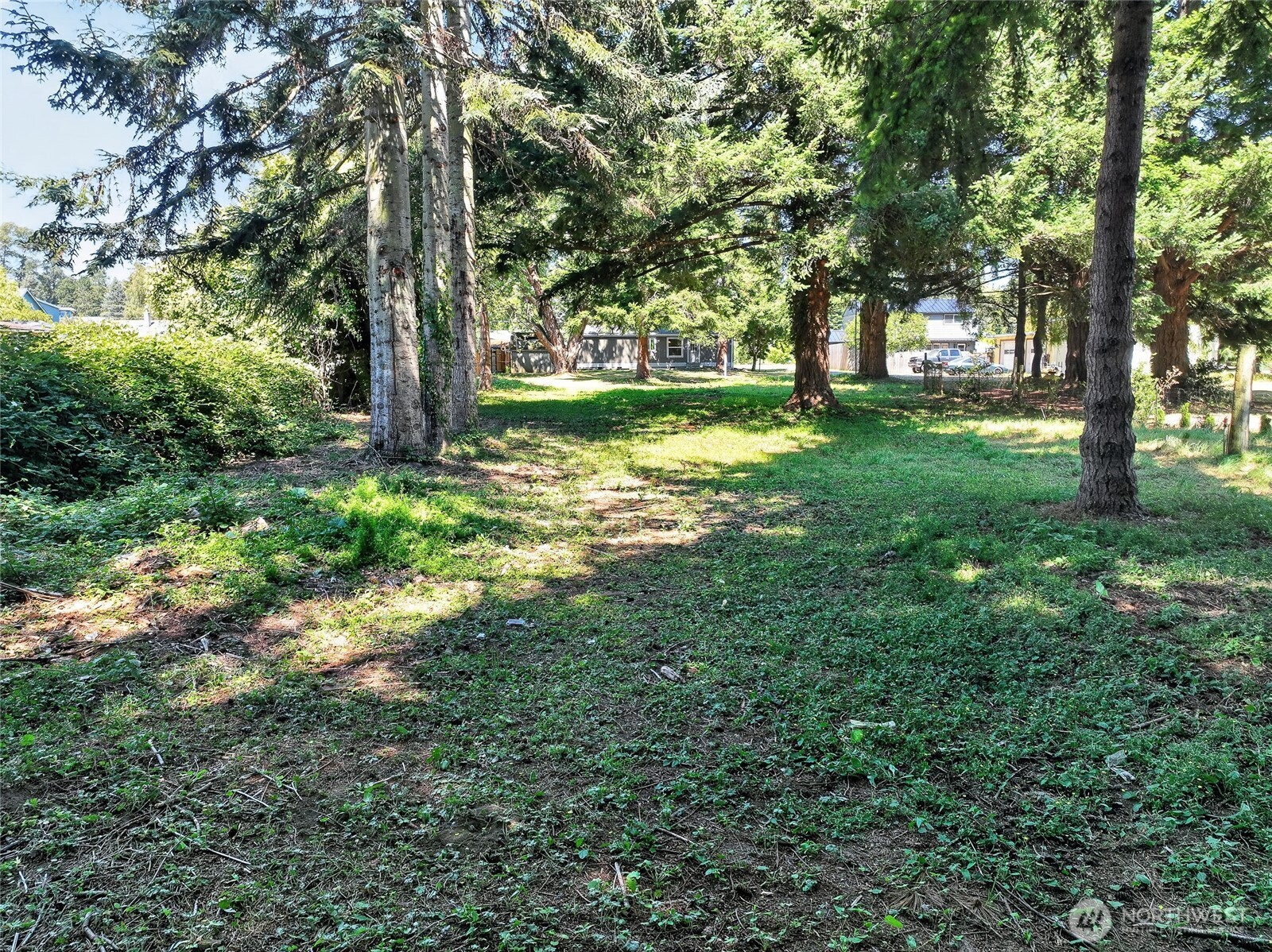 3015 Birchwood Avenue Property Photo 27