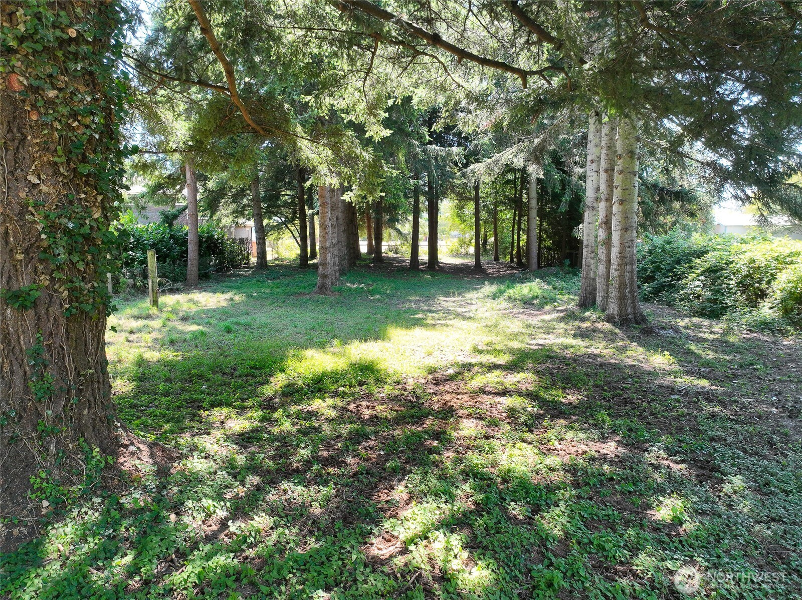 3015 Birchwood Avenue Property Photo 29