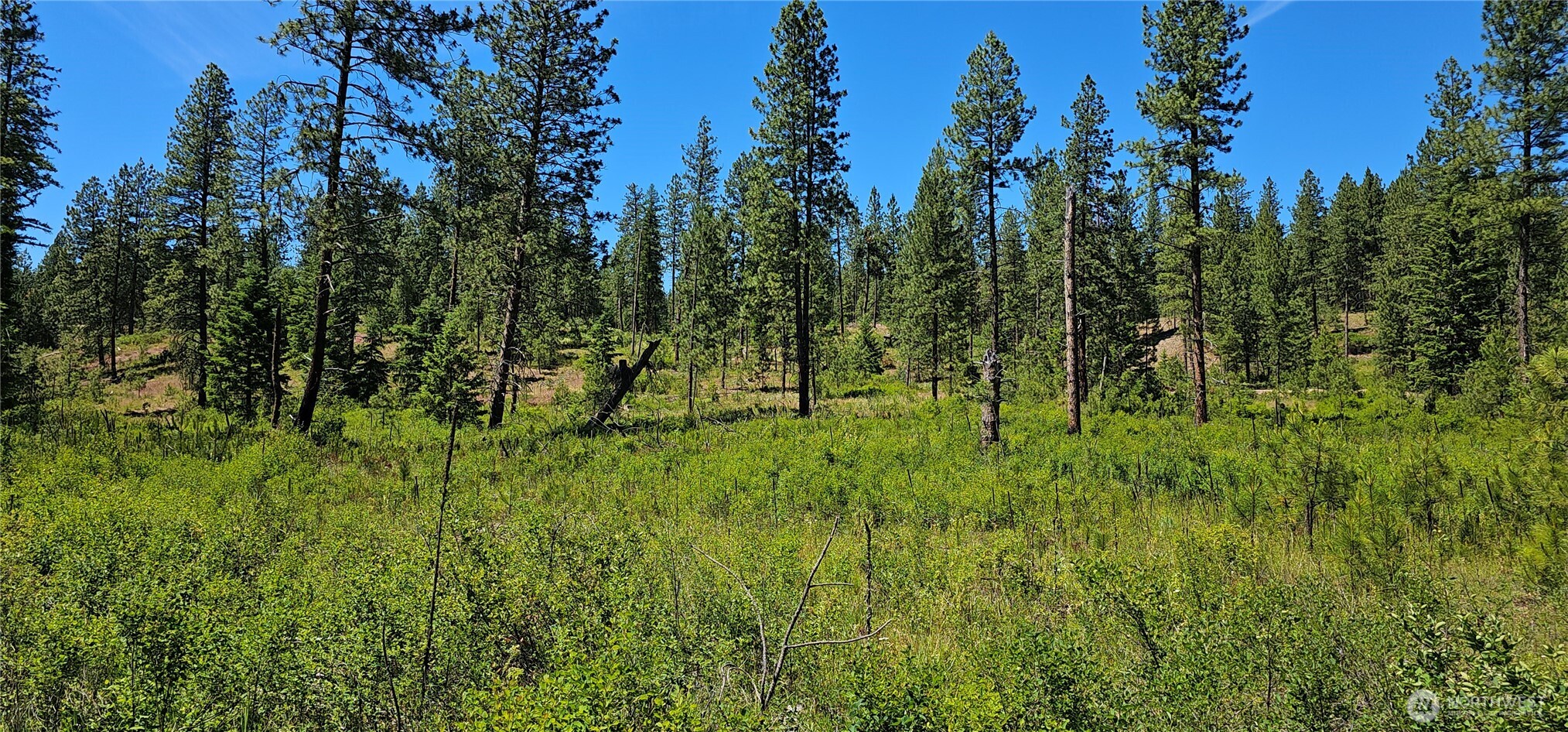 20 X Lynx Road Property Photo 1