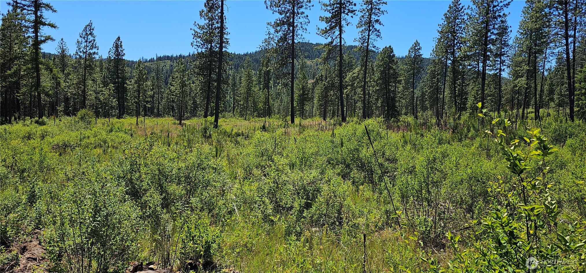20 X Lynx Road Property Photo 2