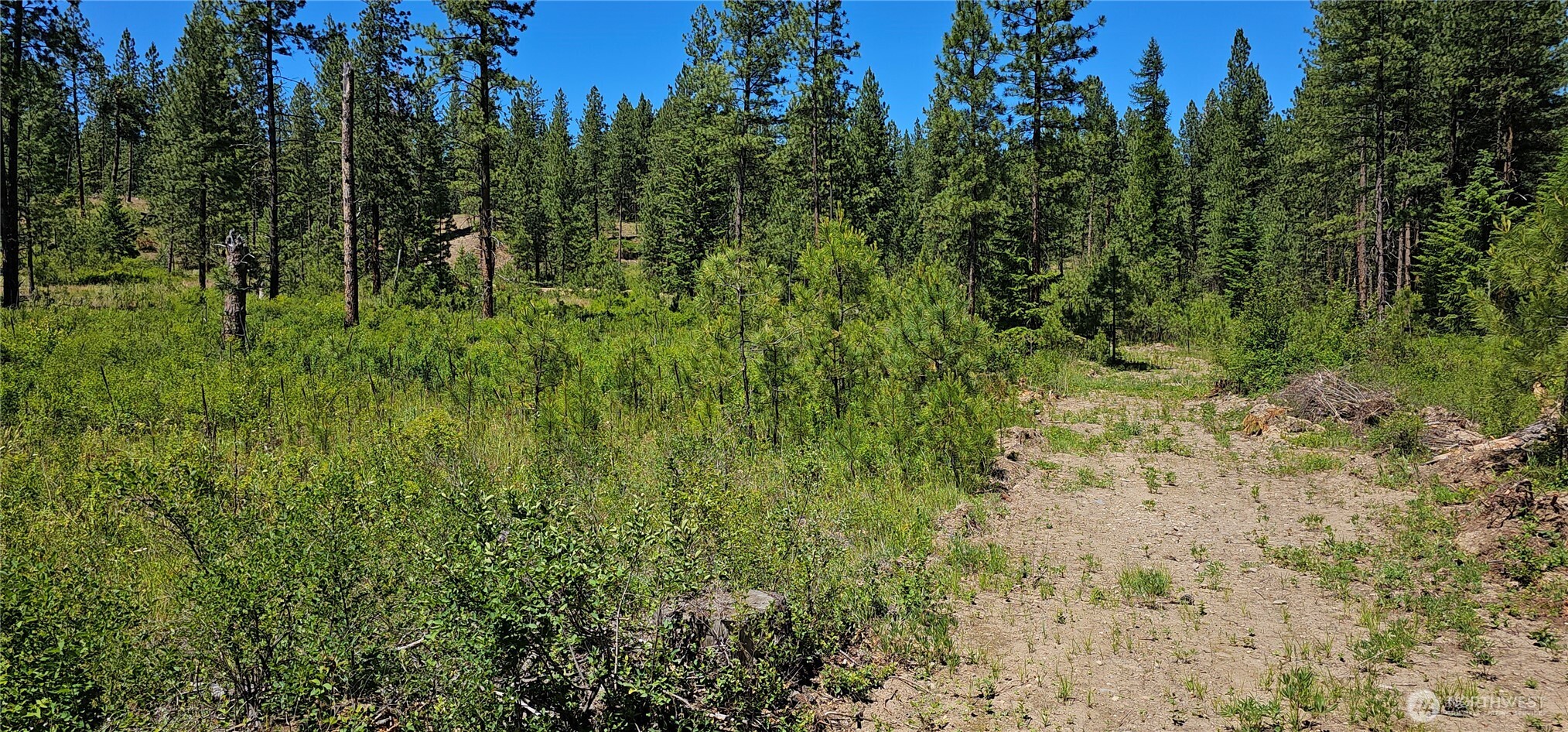 20 X Lynx Road Property Photo 3