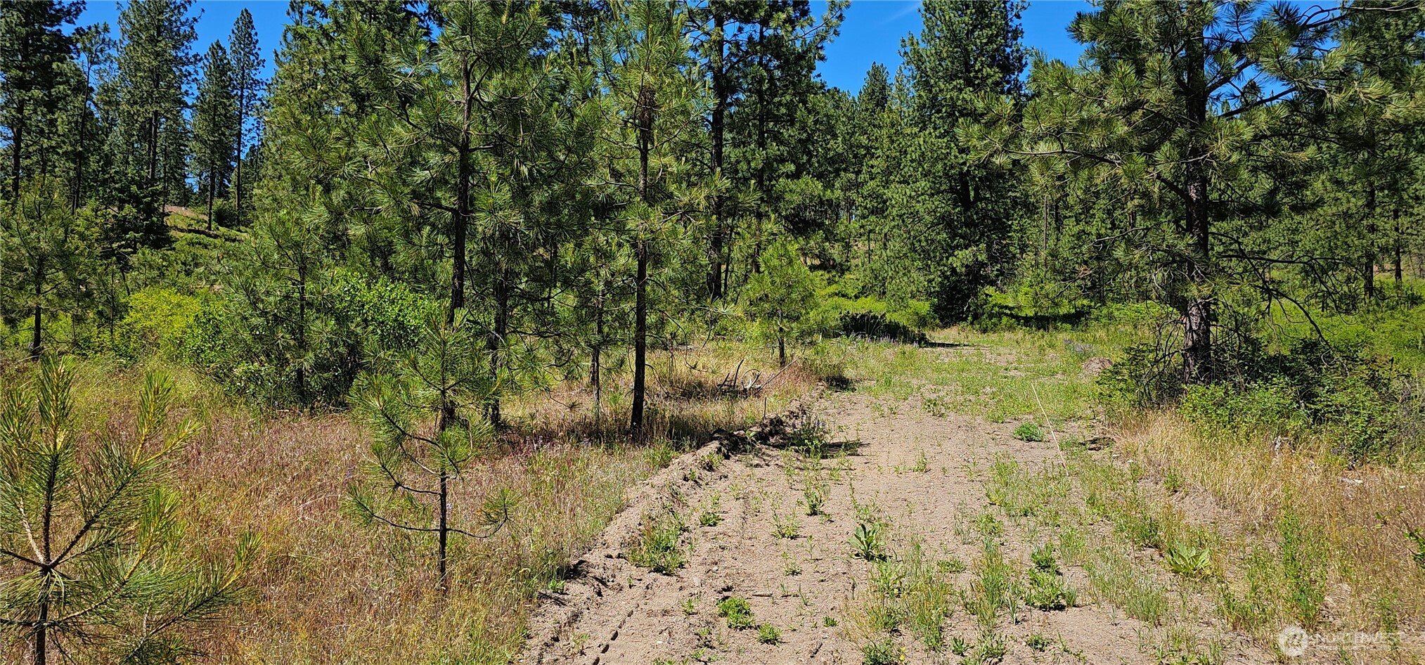 20 X Lynx Road Property Photo 4