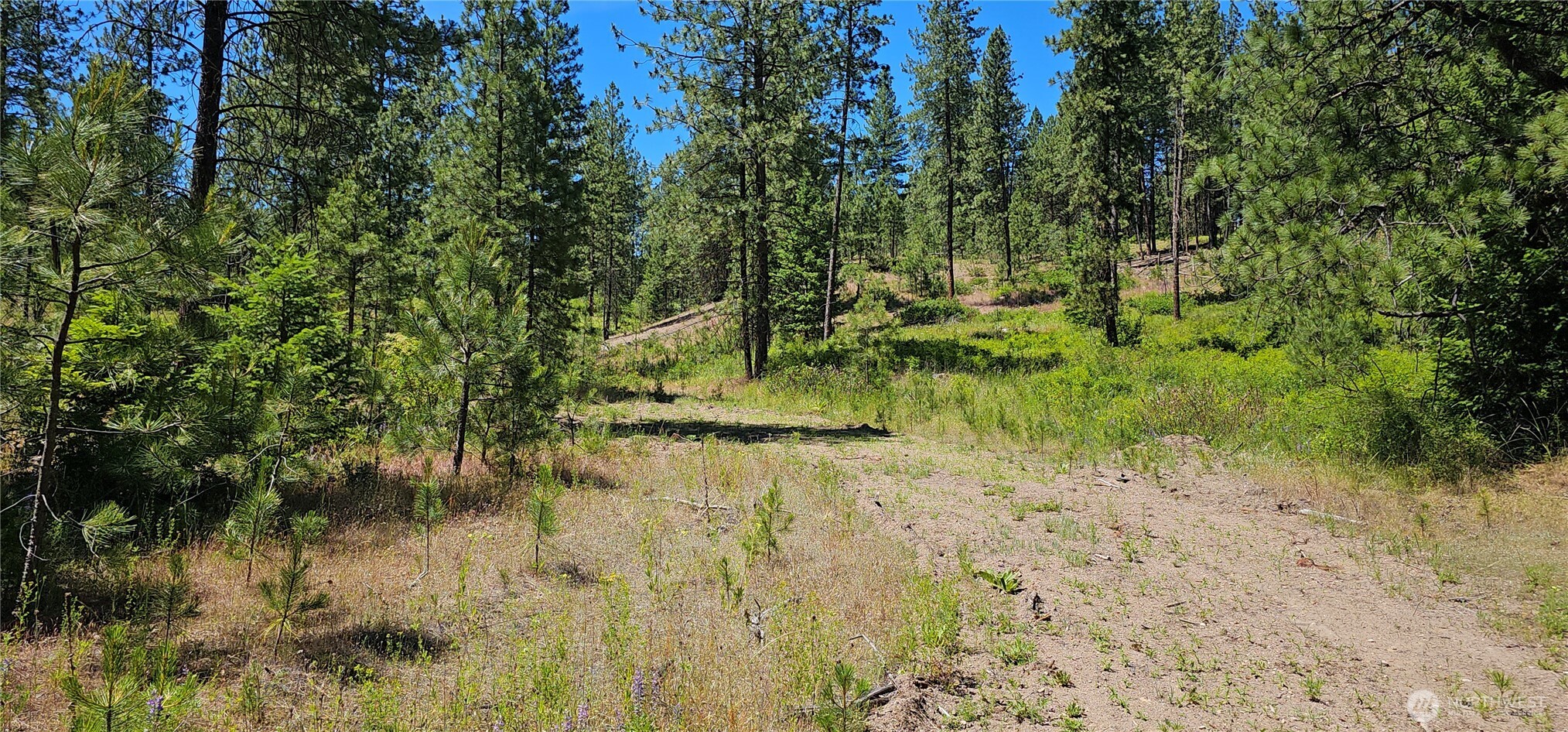 20 X Lynx Road Property Photo 5