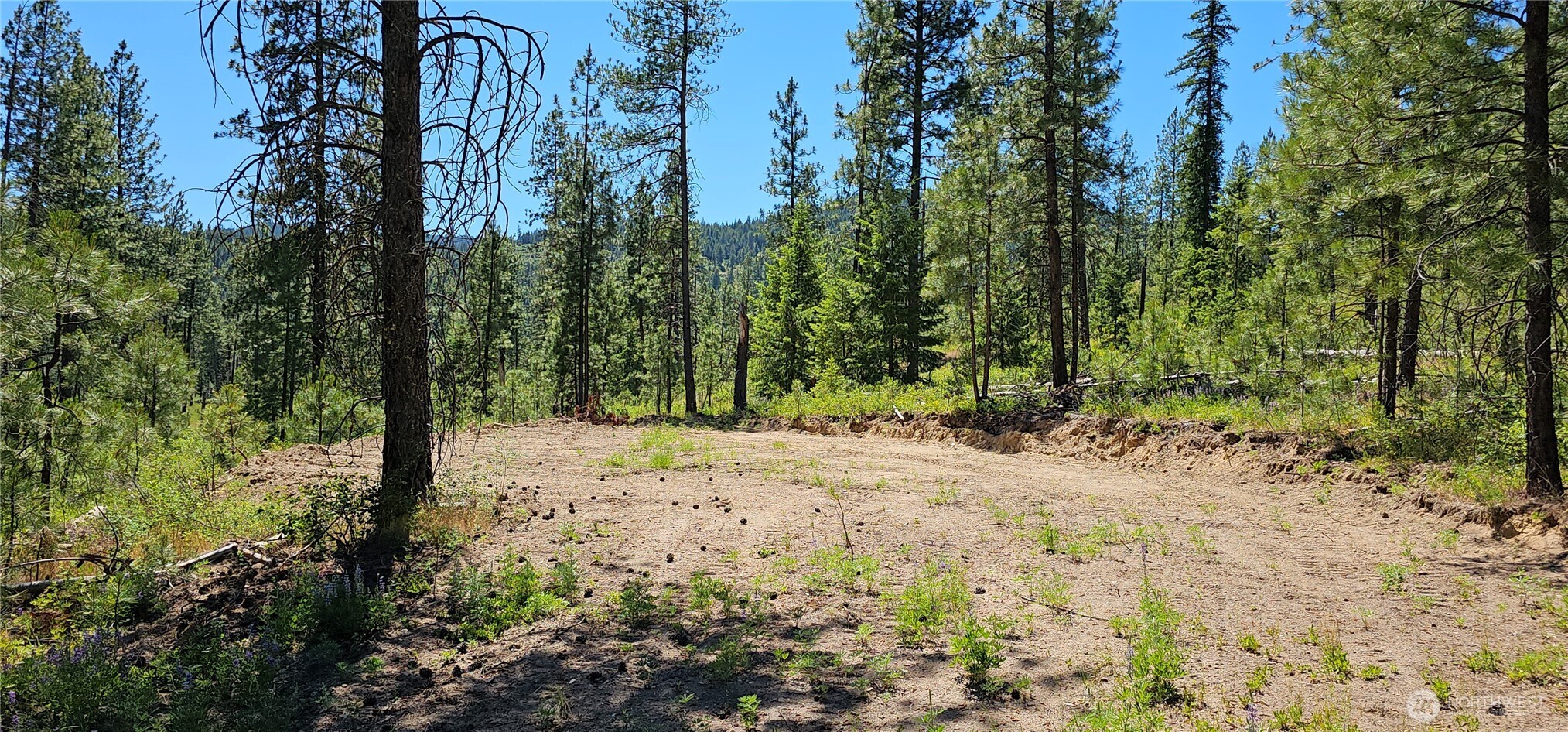 20 X Lynx Road Property Photo 6