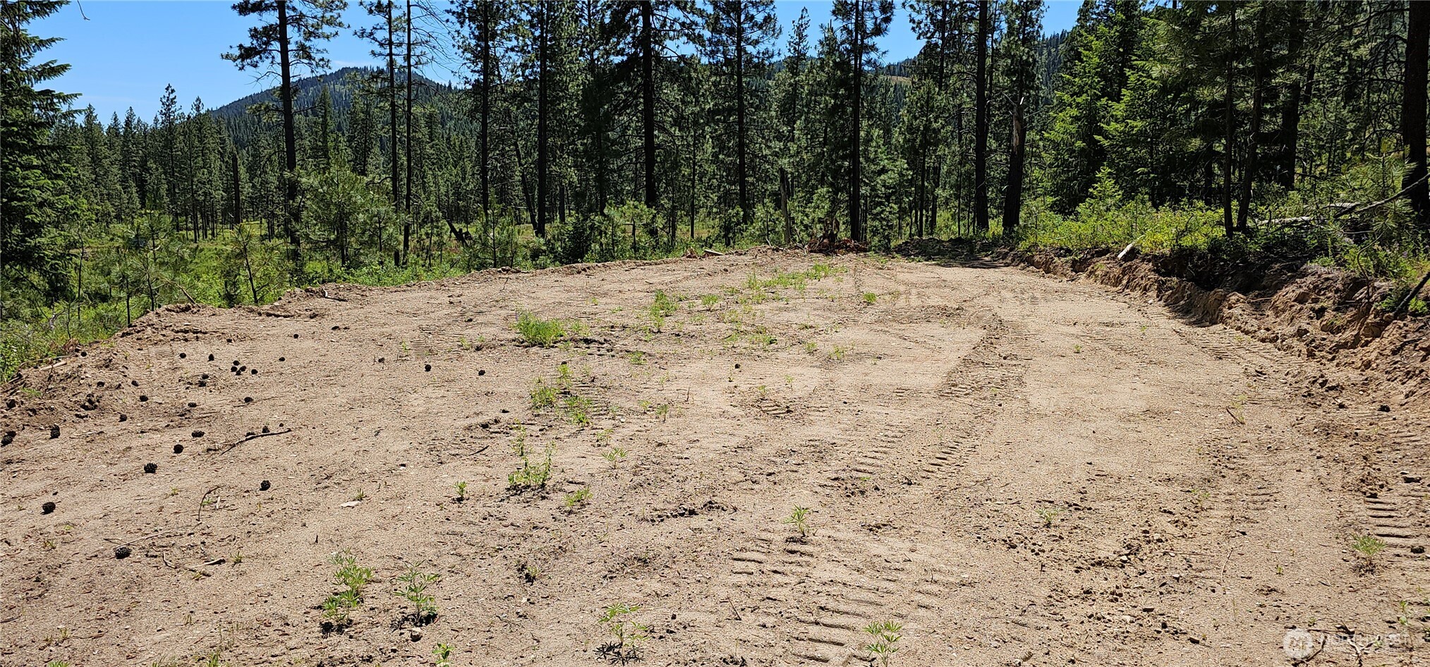 20 X Lynx Road Property Photo 7