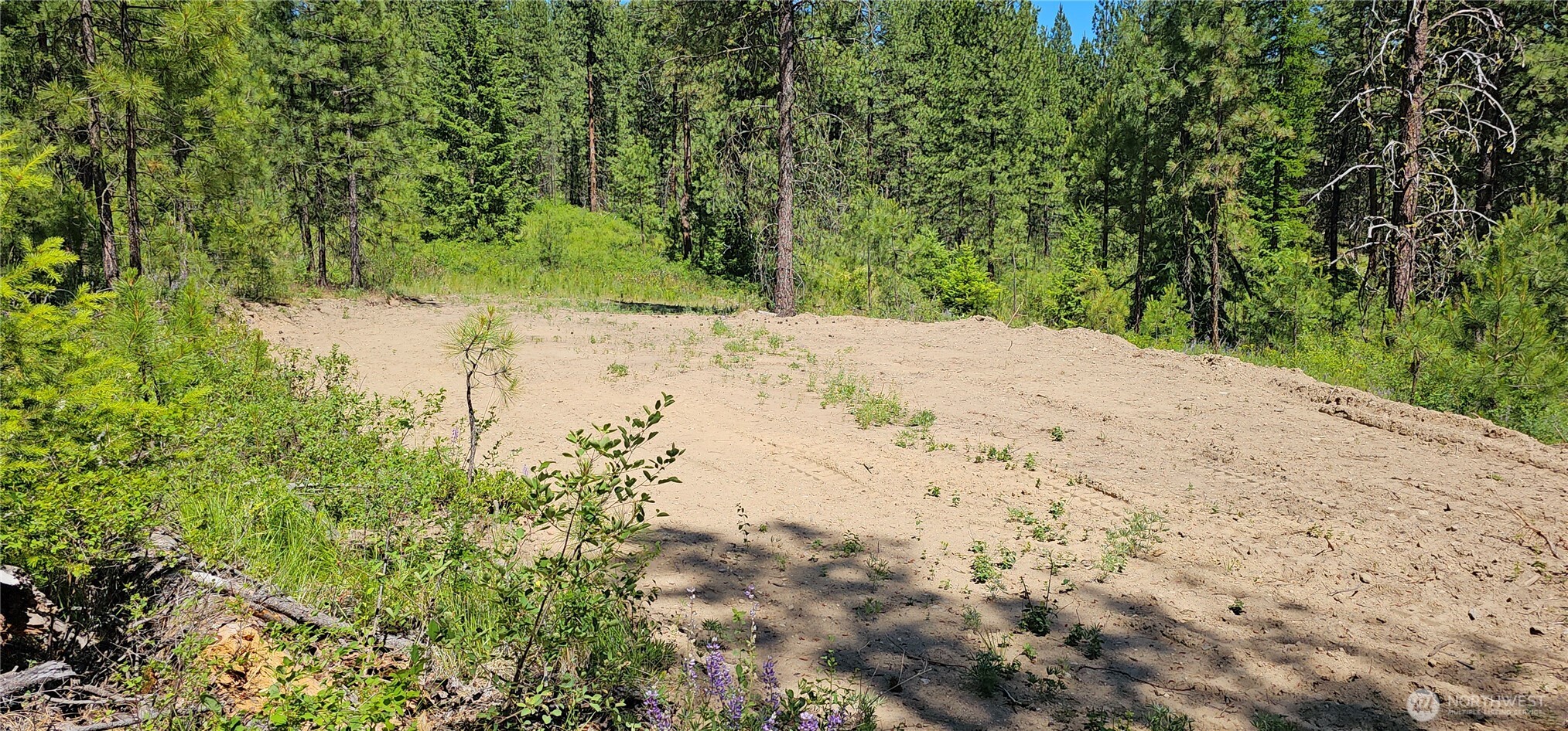 20 X Lynx Road Property Photo 8