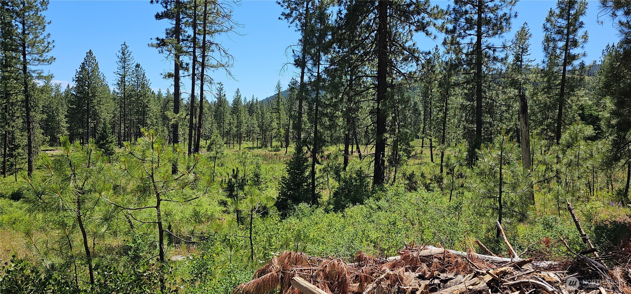 20 X Lynx Road Property Photo 10