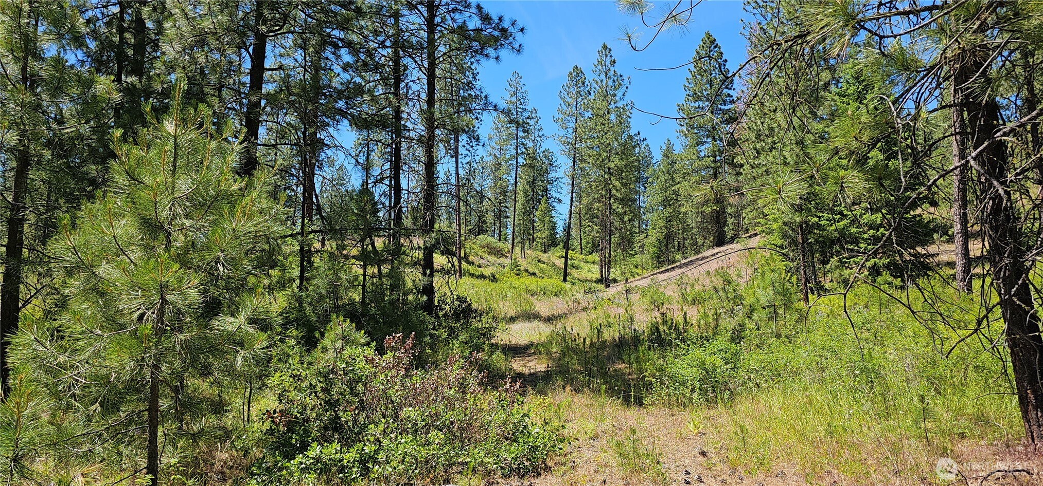 20 X Lynx Road Property Photo 11
