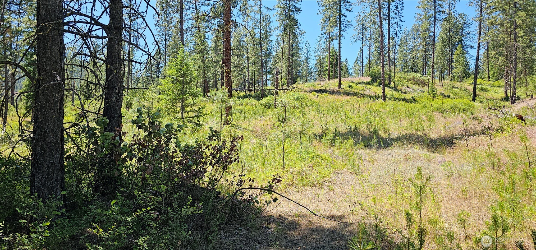 20 X Lynx Road Property Photo 12