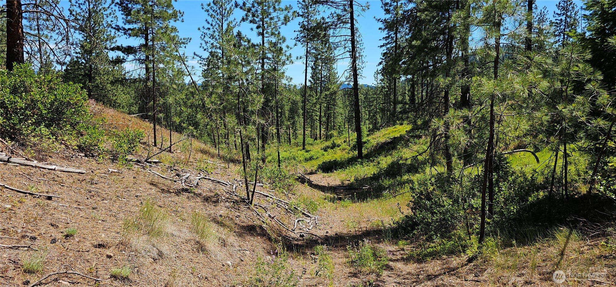 20 X Lynx Road Property Photo 13
