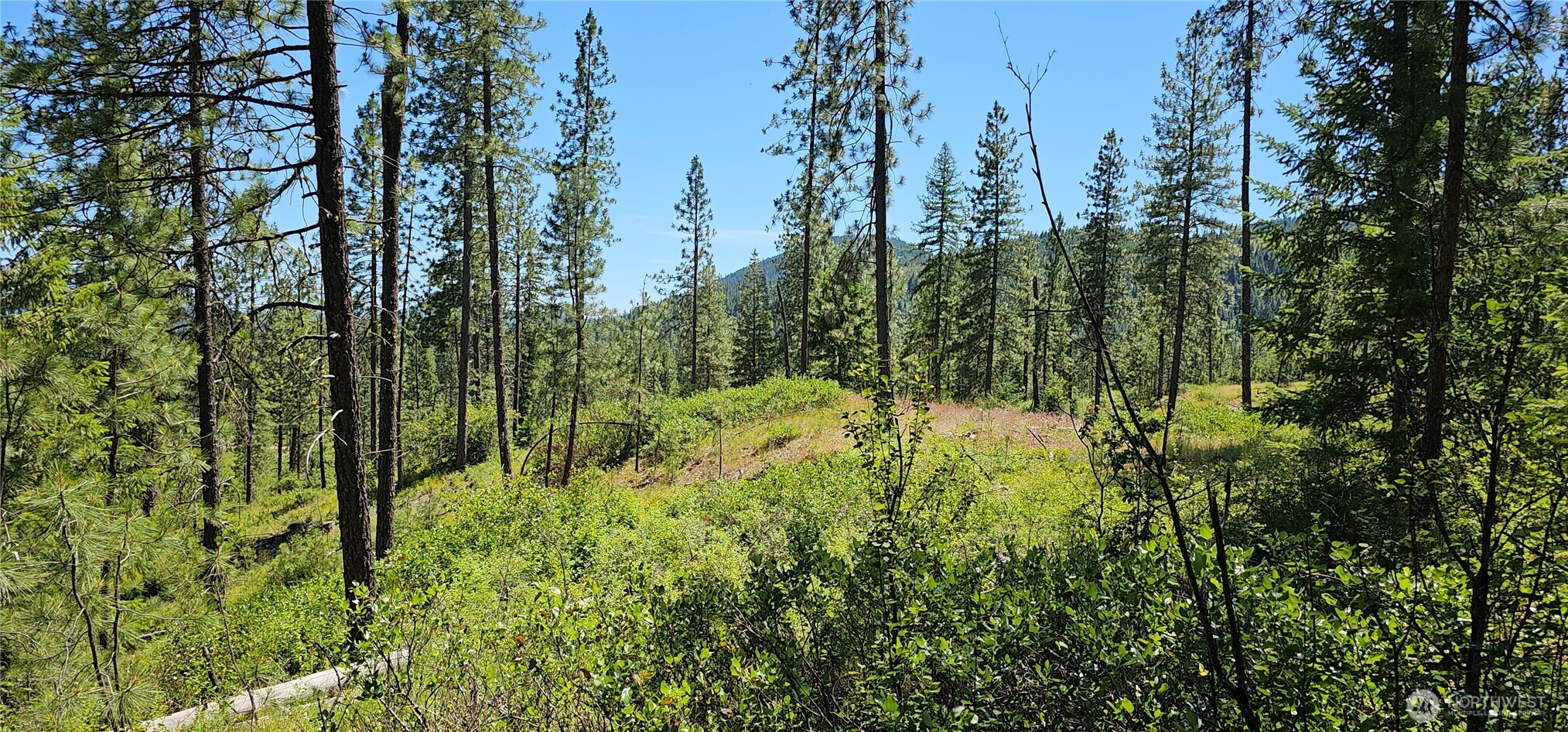 20 X Lynx Road Property Photo 14