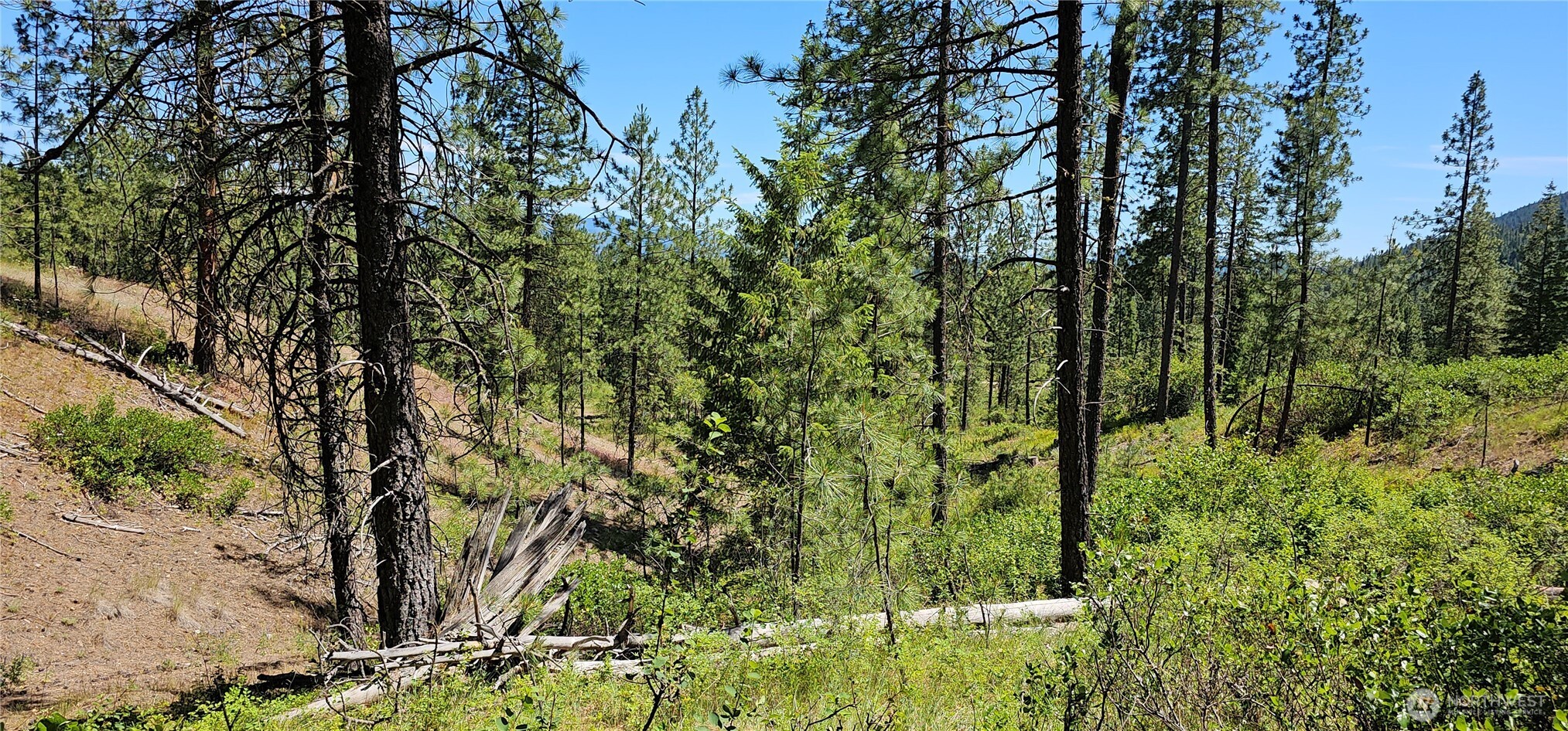 20 X Lynx Road Property Photo 15