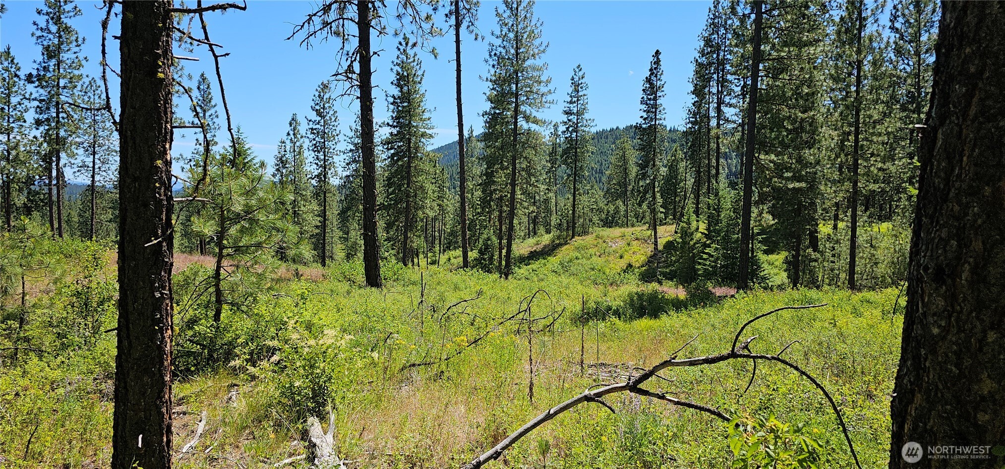 20 X Lynx Road Property Photo 16