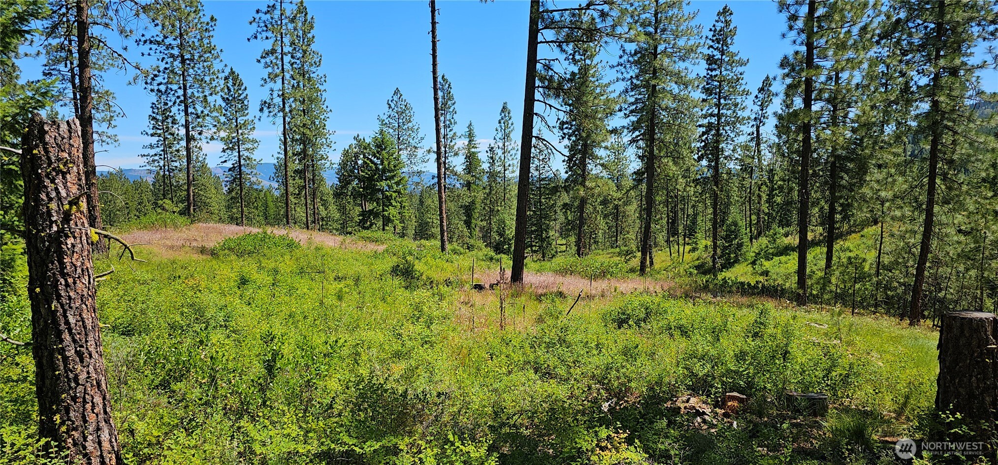 20 X Lynx Road Property Photo 17