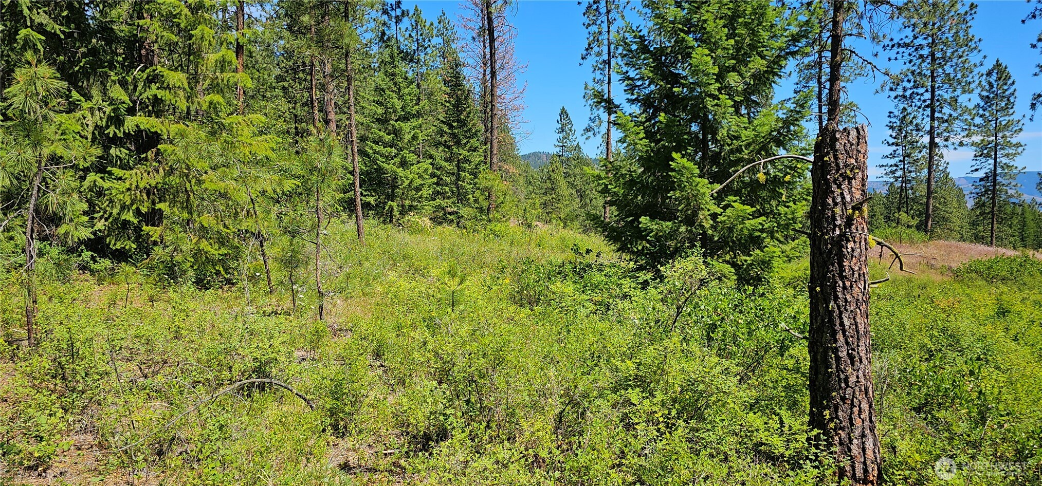 20 X Lynx Road Property Photo 18