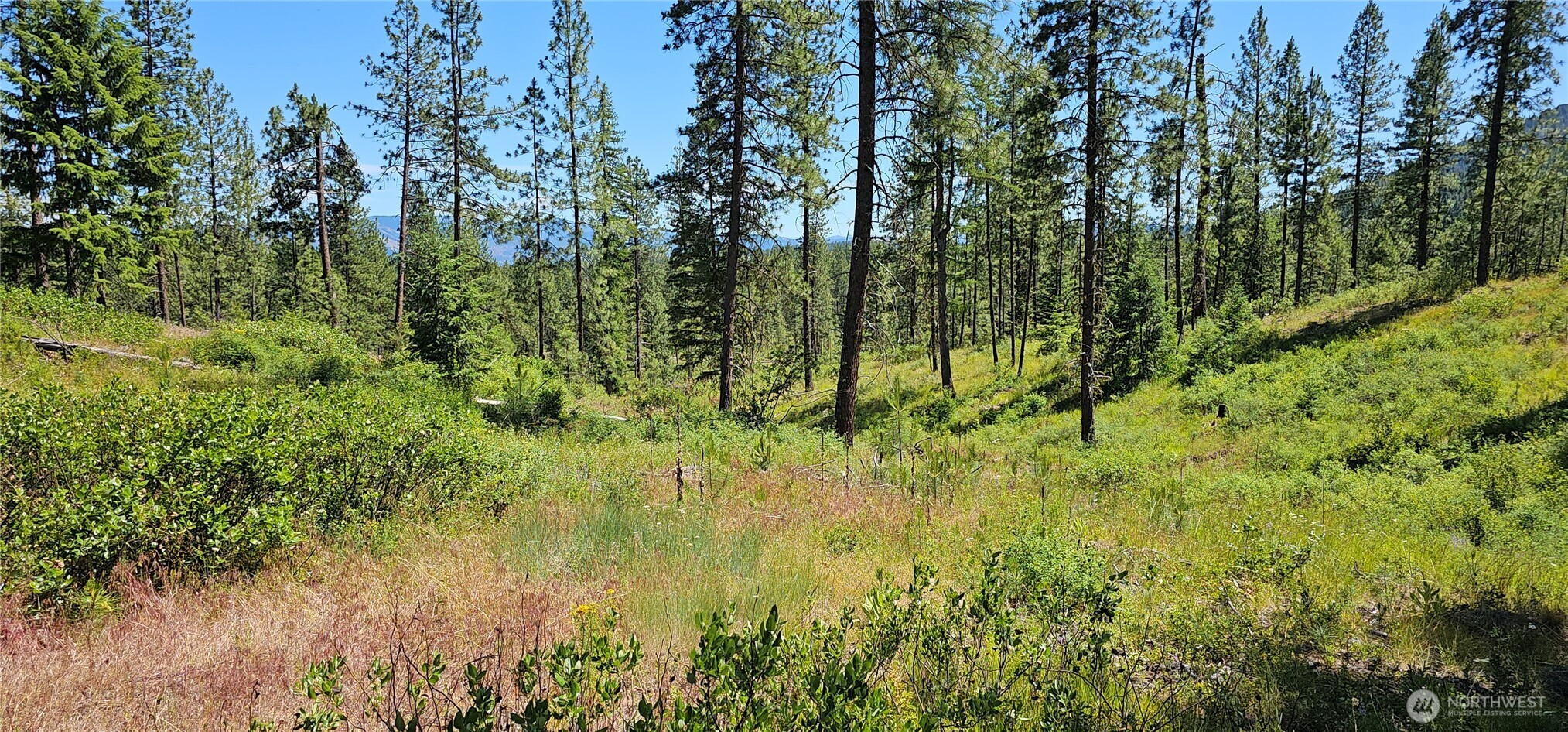 20 X Lynx Road Property Photo 19