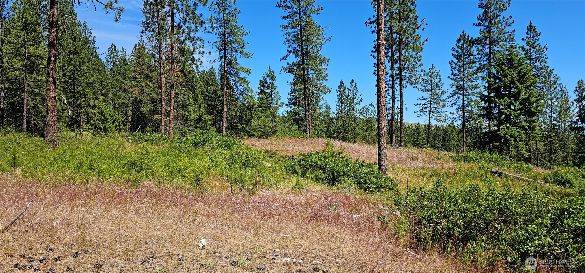 20 X Lynx Road Property Photo 20