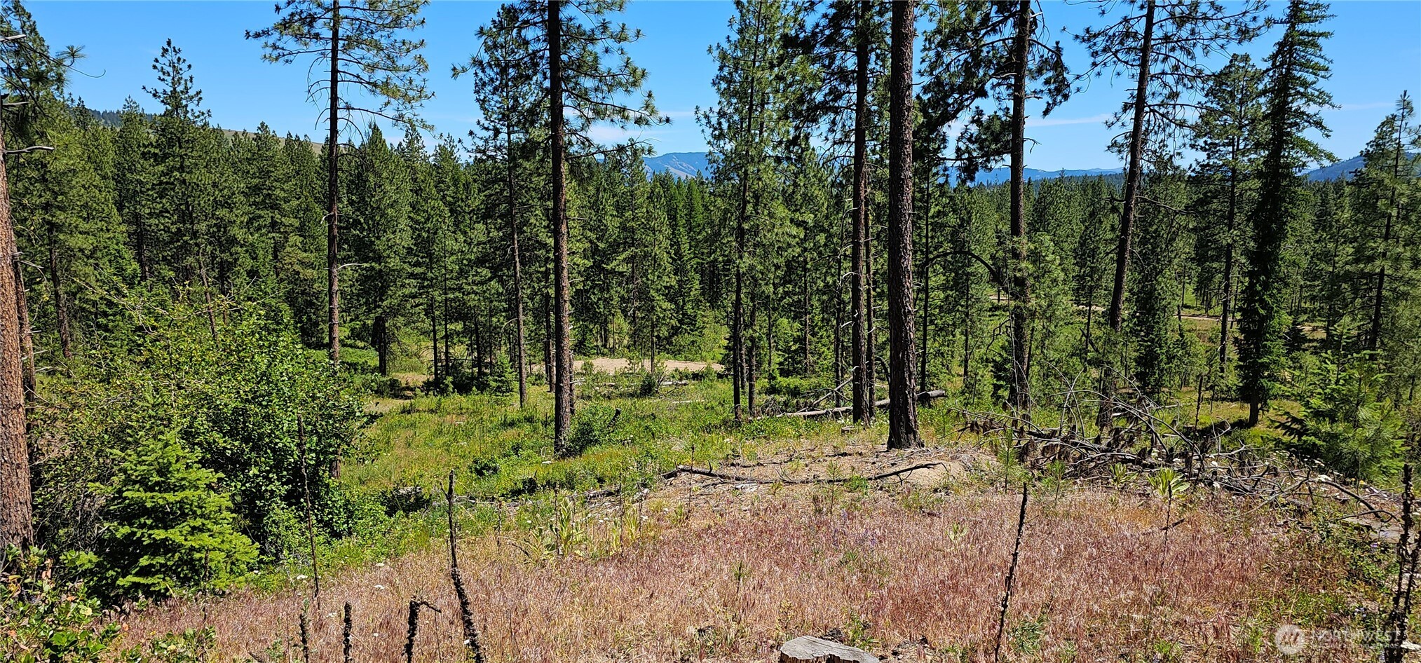 20 X Lynx Road Property Photo 21