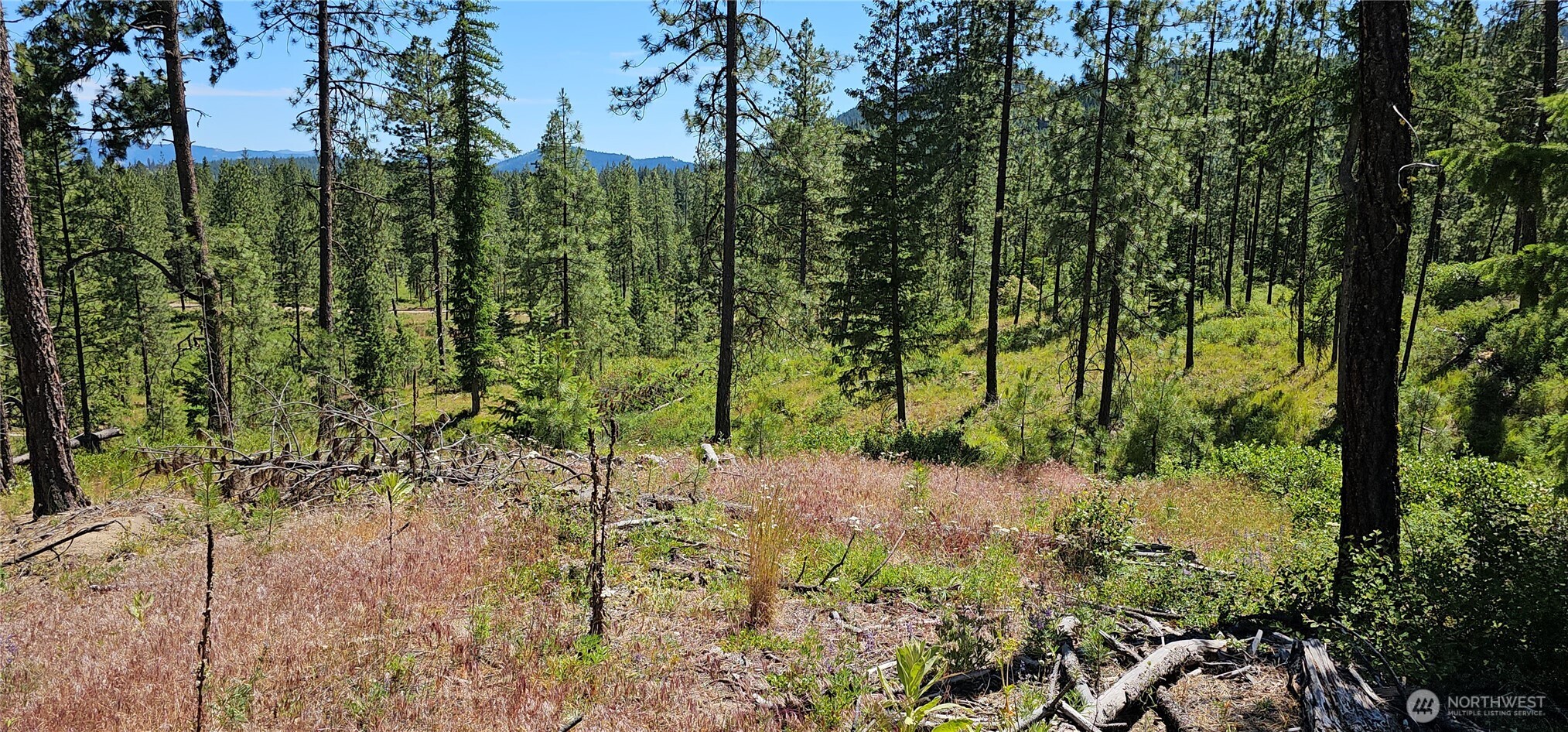 20 X Lynx Road Property Photo 22